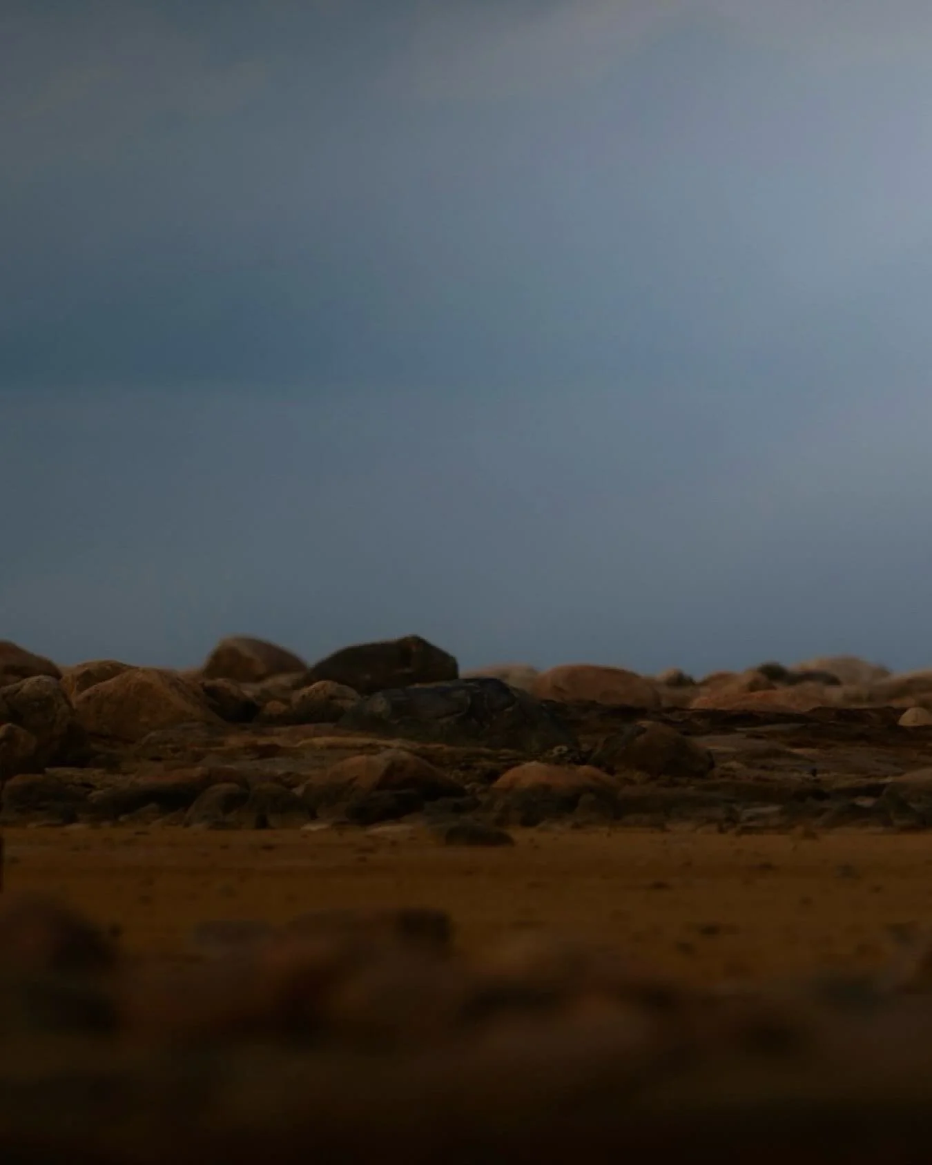 “Waiting for Winter”
Near Arviat, Canada, this female polar bear waits at the edge of the Hudson Bay, where the land meets a sea still too warm to hold her weight. She knows the rhythm of the seasons better than any clock — the ice