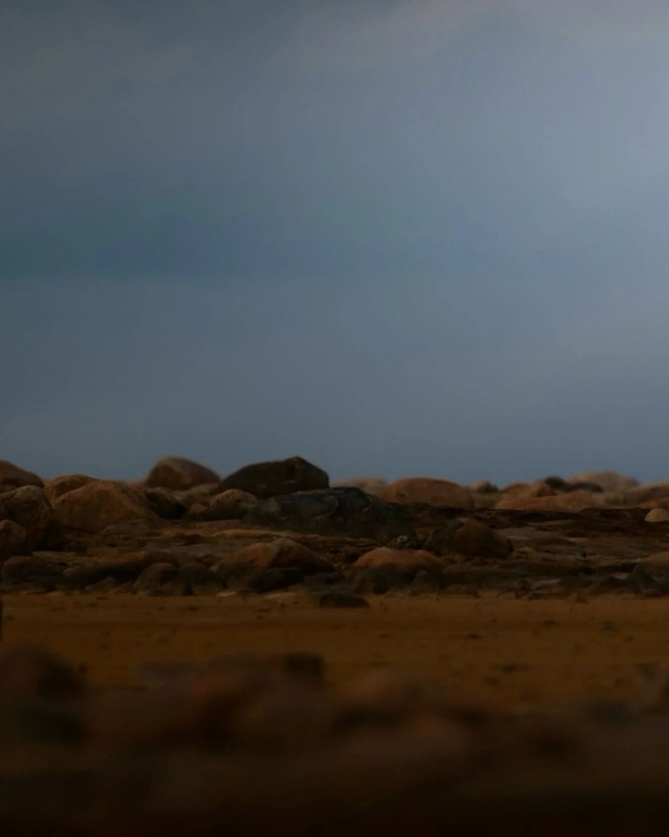 “Waiting for Winter”
Near Arviat, Canada, this female polar bear waits at the edge of the Hudson Bay, where the land meets a sea still too warm to hold her weight. She knows the rhythm of the seasons better than any clock — the ice