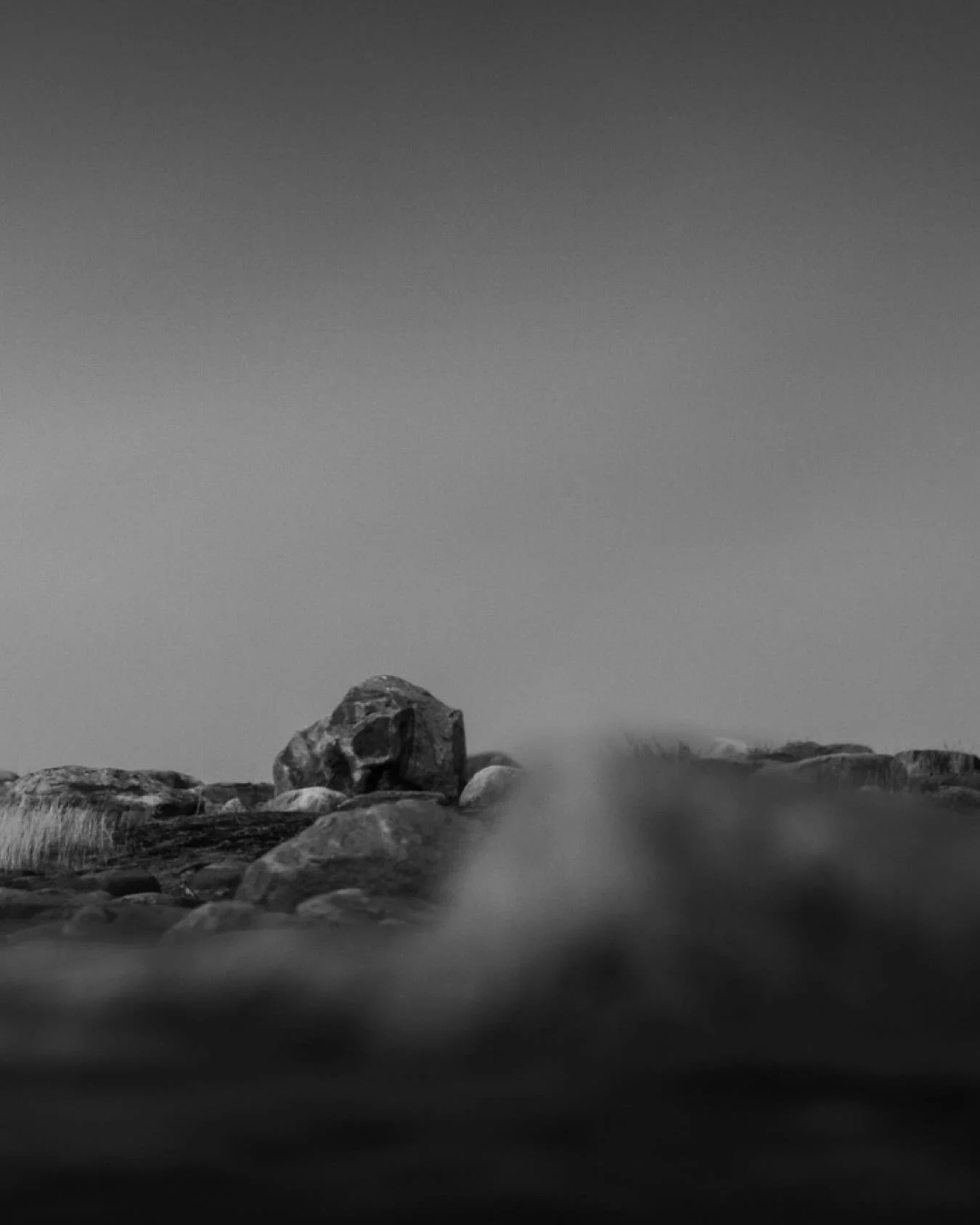 I think inside of us all, there is some kind of wish to escape &mdash; to a whole different life.
For me, that&rsquo;s to the Wild.

The more I see, the more I believe we are the ones behind the glass &mdash; watching, safe, distant, mistaking comfor