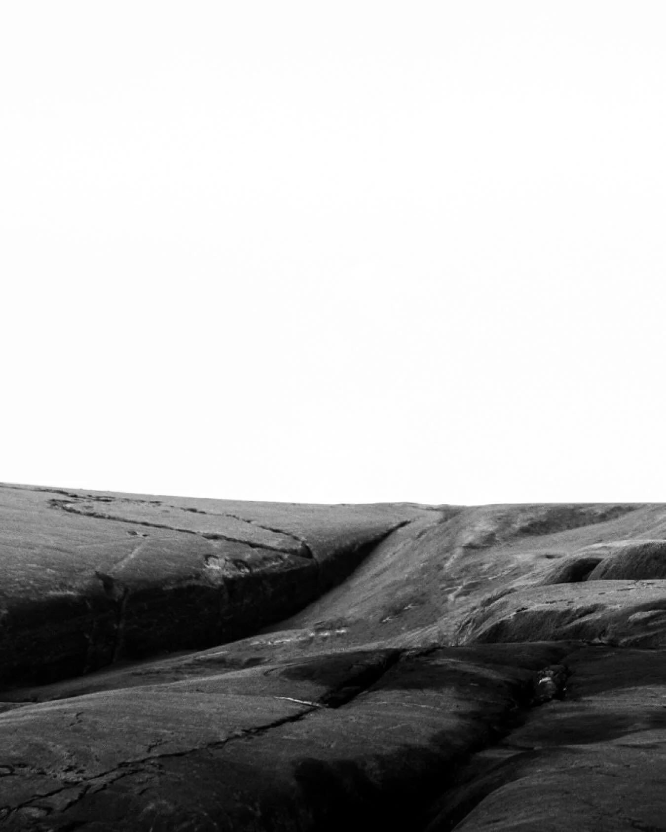 “Eight Years”
For eight years I followed a vision—
a single bear emerging from the white,
the quiet embodiment of everything I seek in the wild:
truth, solitude, presence.
She appeared at last, walking toward me
across the fractur