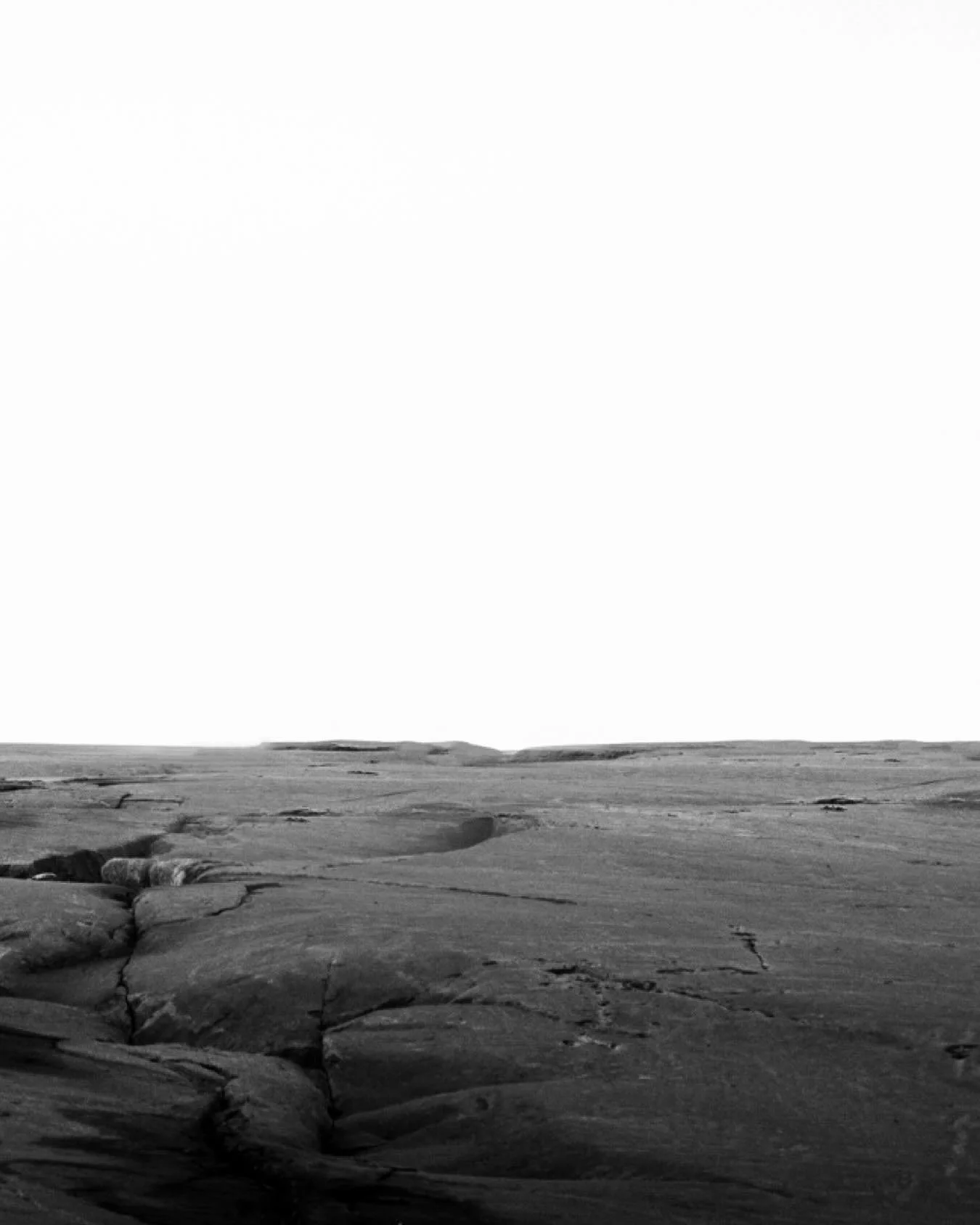 &ldquo;Eight Years&rdquo;

For eight years I followed a vision&mdash;
a single bear emerging from the white,
the quiet embodiment of everything I seek in the wild:
truth, solitude, presence.

She appeared at last, walking toward me
across the fractur