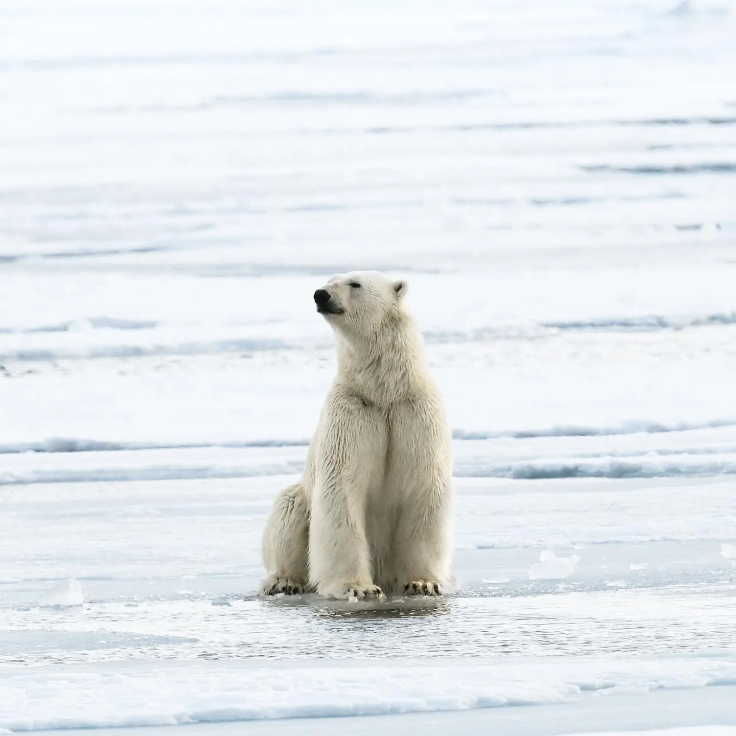 I think inside of us all, there&rsquo;s a quiet wish&hellip; to escape. To slip into a whole other life. And I&rsquo;ve always been fascinated by that idea.
&ldquo;This place doesn&rsquo;t feel like the edge of the world&hellip; it feels like the ins