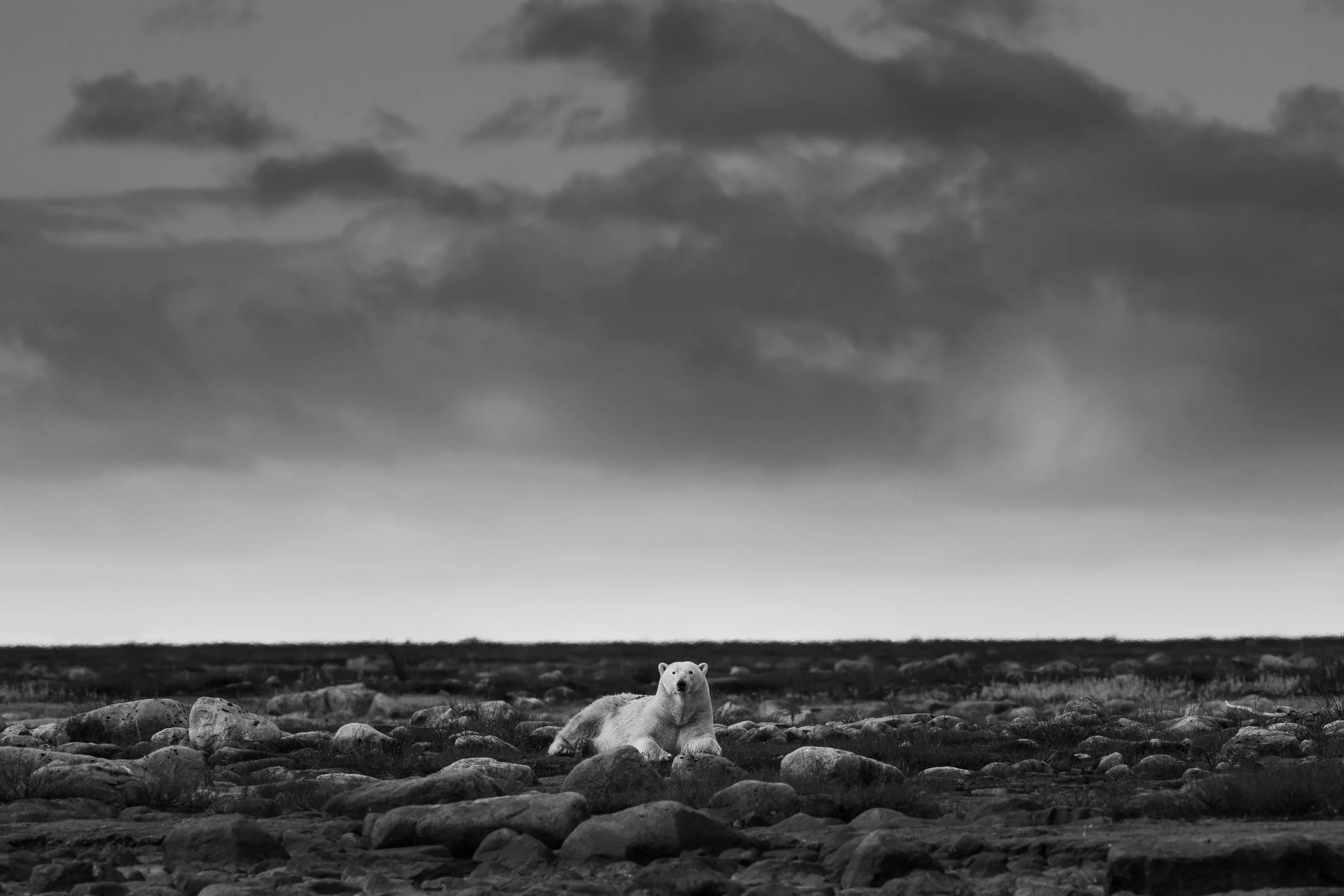 DSC_0819-Edit.jpg