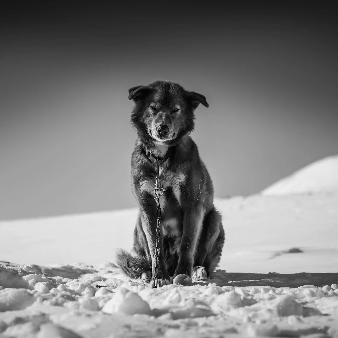 Flame. Scratching at the surface now
And I&rsquo;m trying hard to work it out
And so much has gone misunderstood
And this mystery only leads to doubt