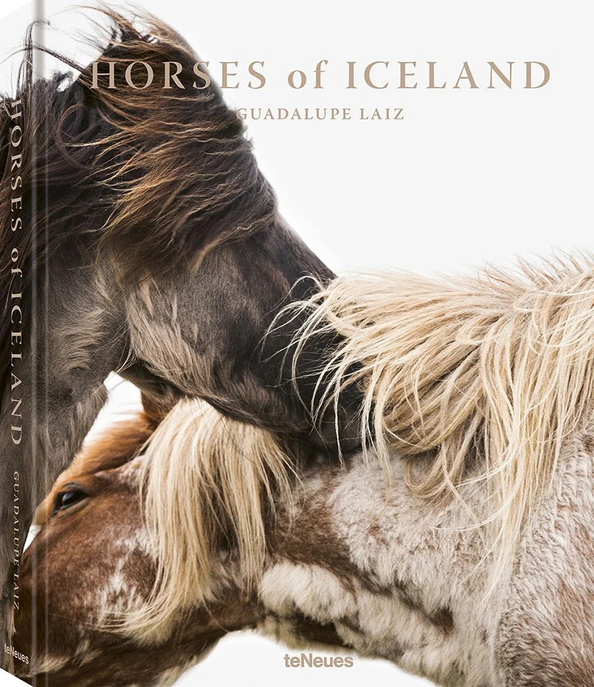 Horses of Iceland  FIRST EDITION SOLD OUT