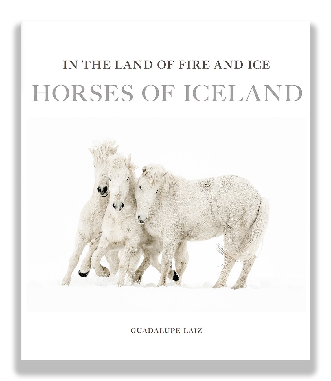In the Land of Fire & Ice: Horses of Iceland Special copy includes a limited edition print