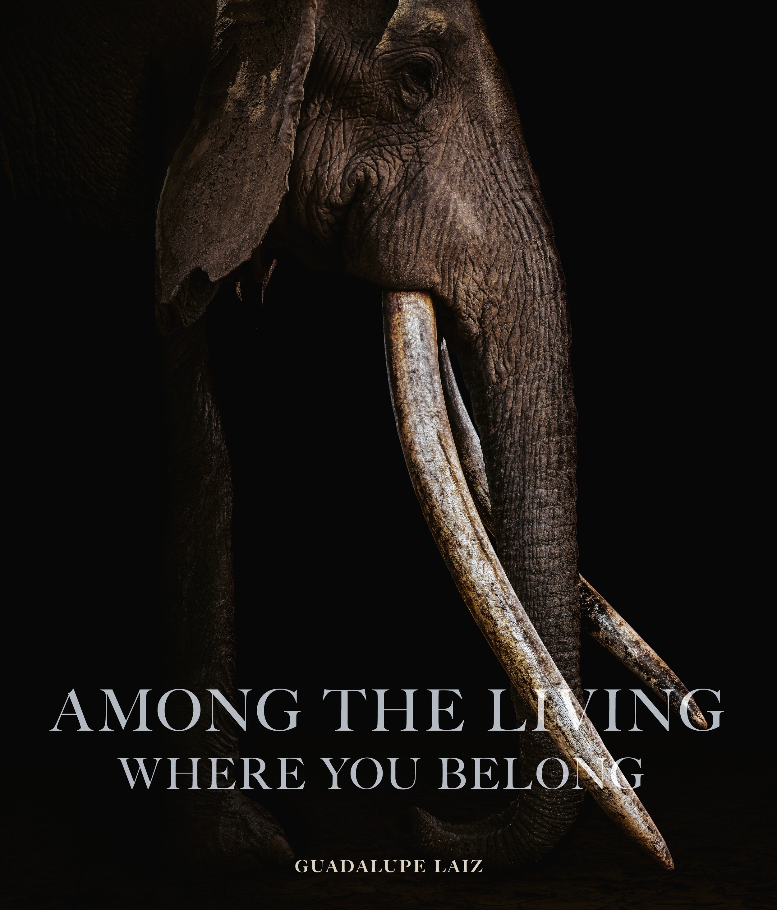 Among the Living Where you Belong