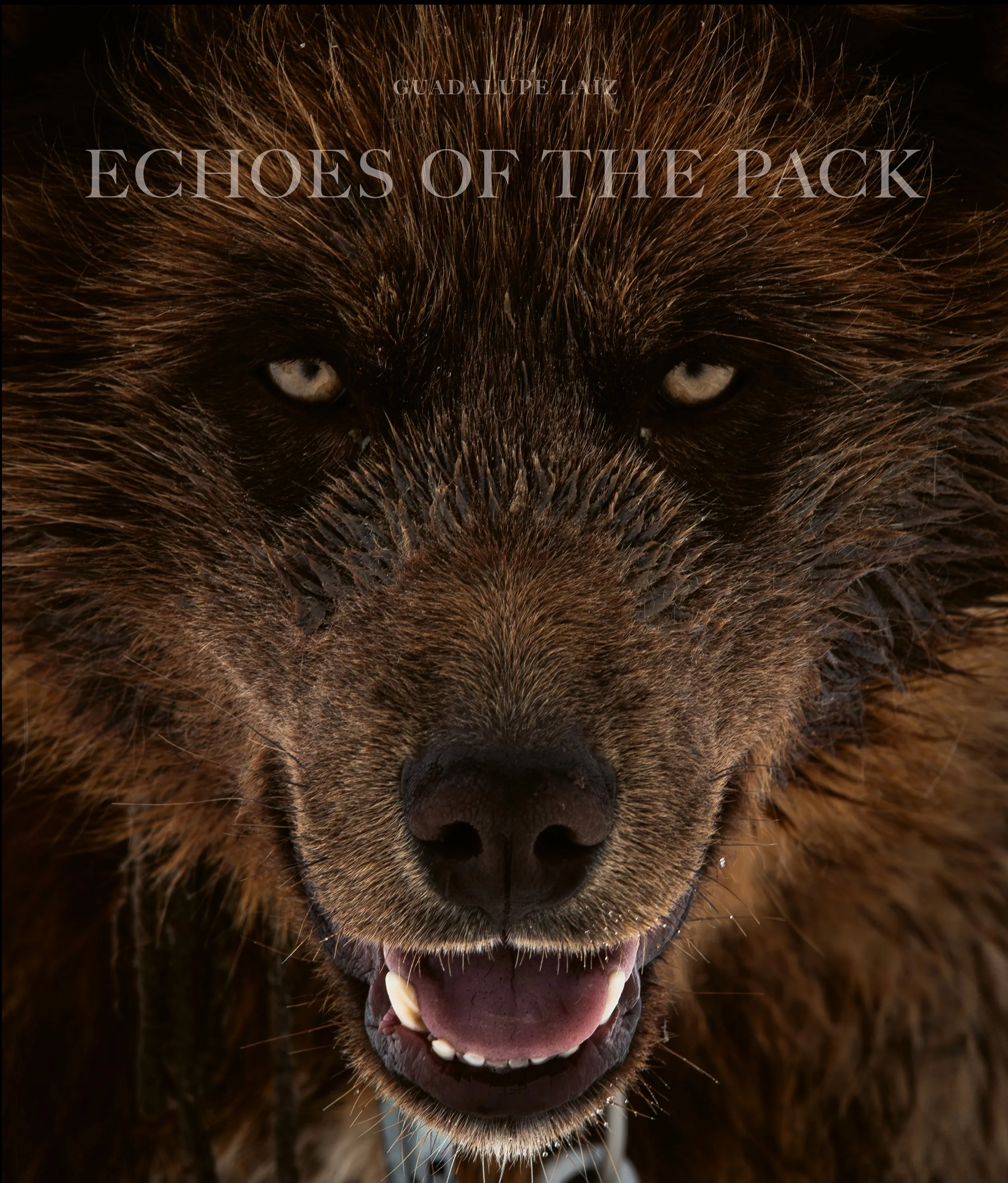 PRE SALE: ECHOES OF THE PACK