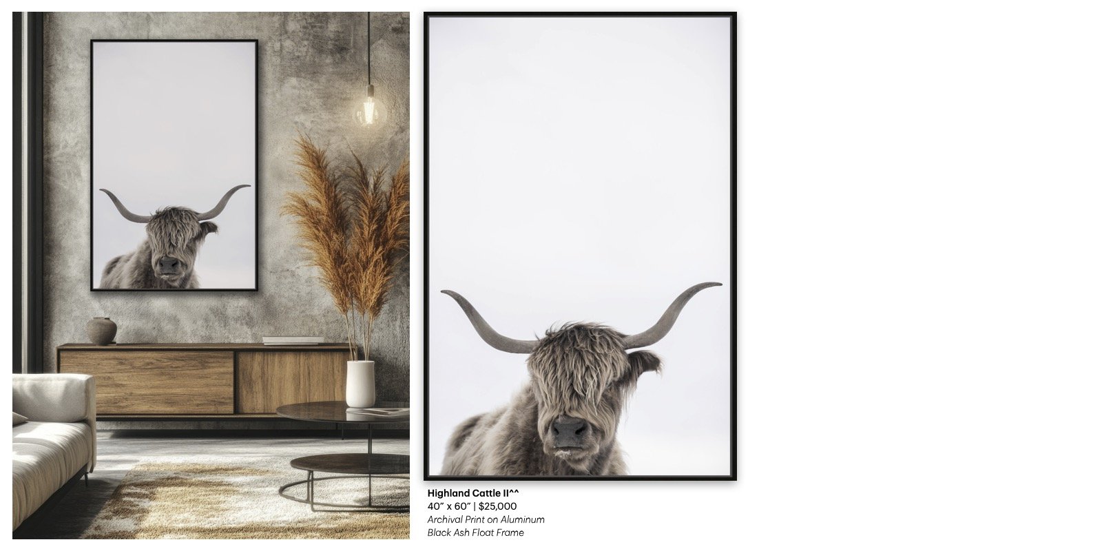 Highland Cattle II^^_TS_al.jpg