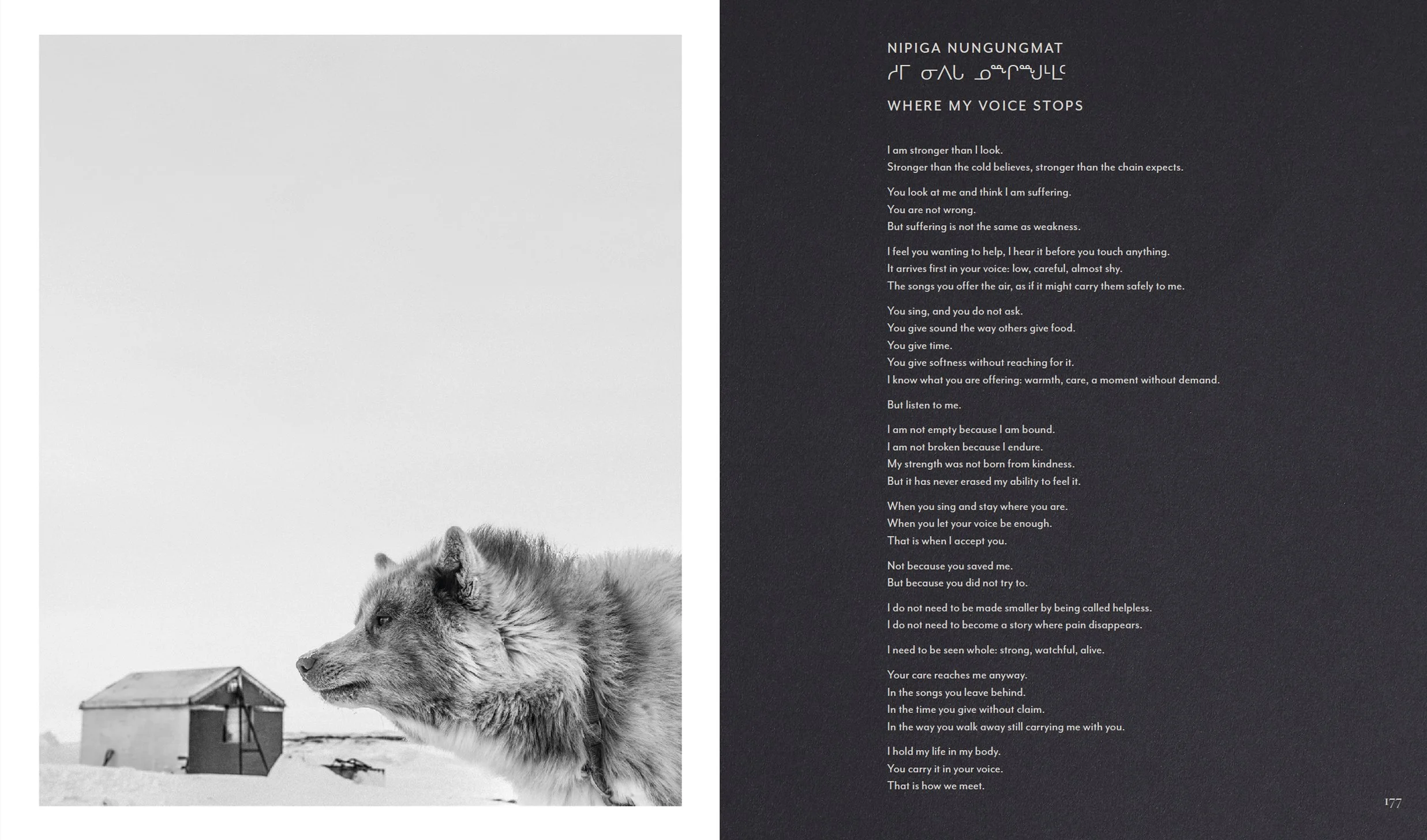 Untitle6cd-22 copy.jpg