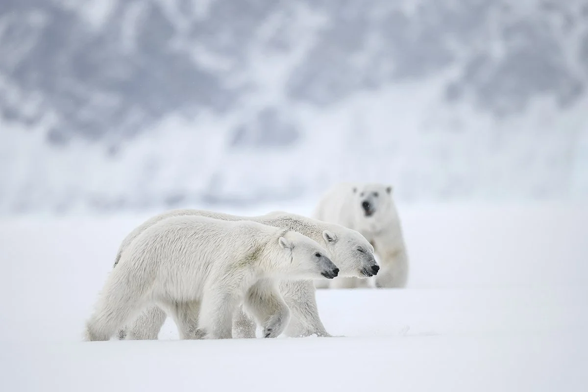 20220102-DSC_9192-3 copy.jpg