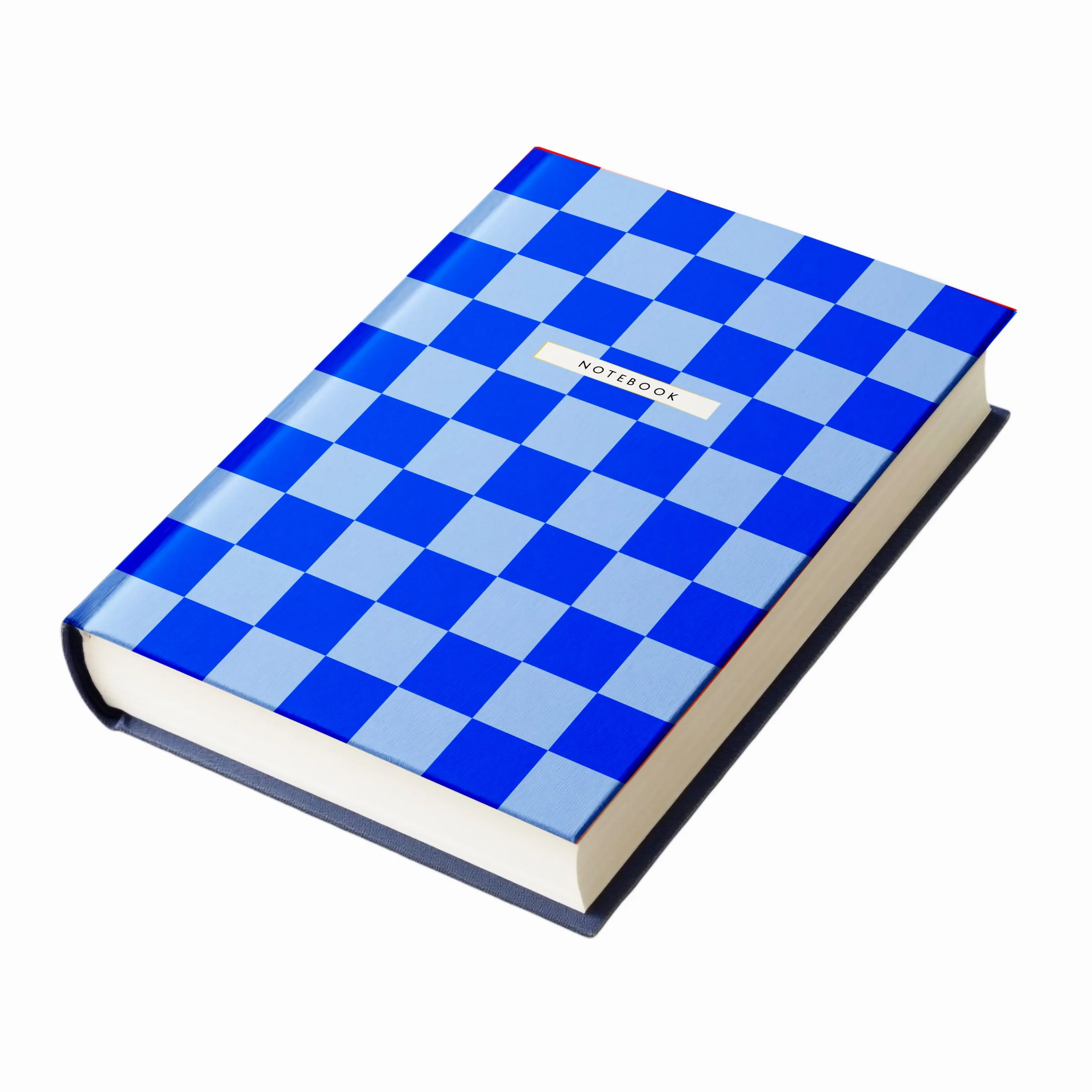 Blue Checkered Book Cover.jpg
