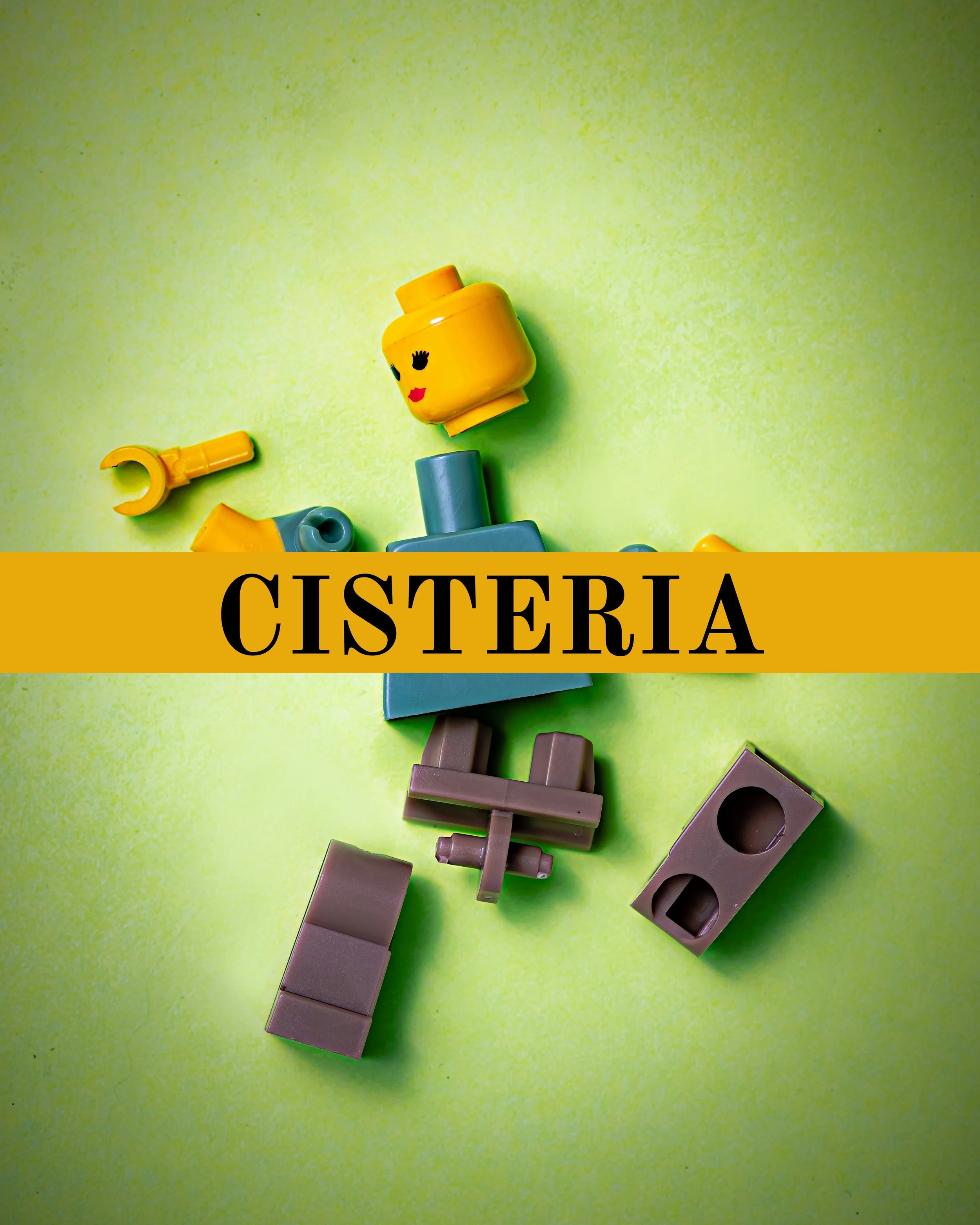 Cisteria!: A Psychoanalysis against Anti-Trans Panics