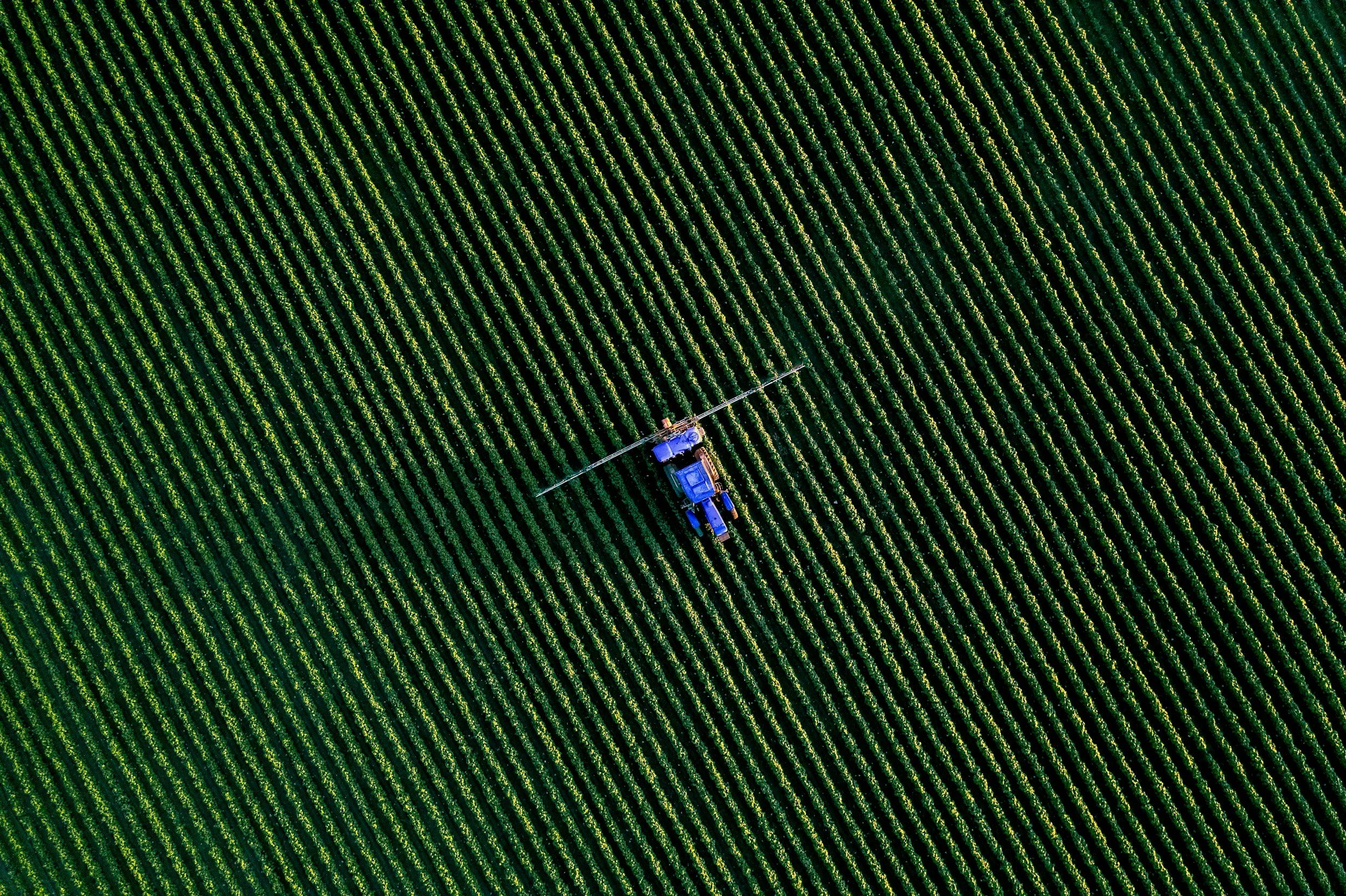 unsplash-image-hGzbN1vy_CA.jpg