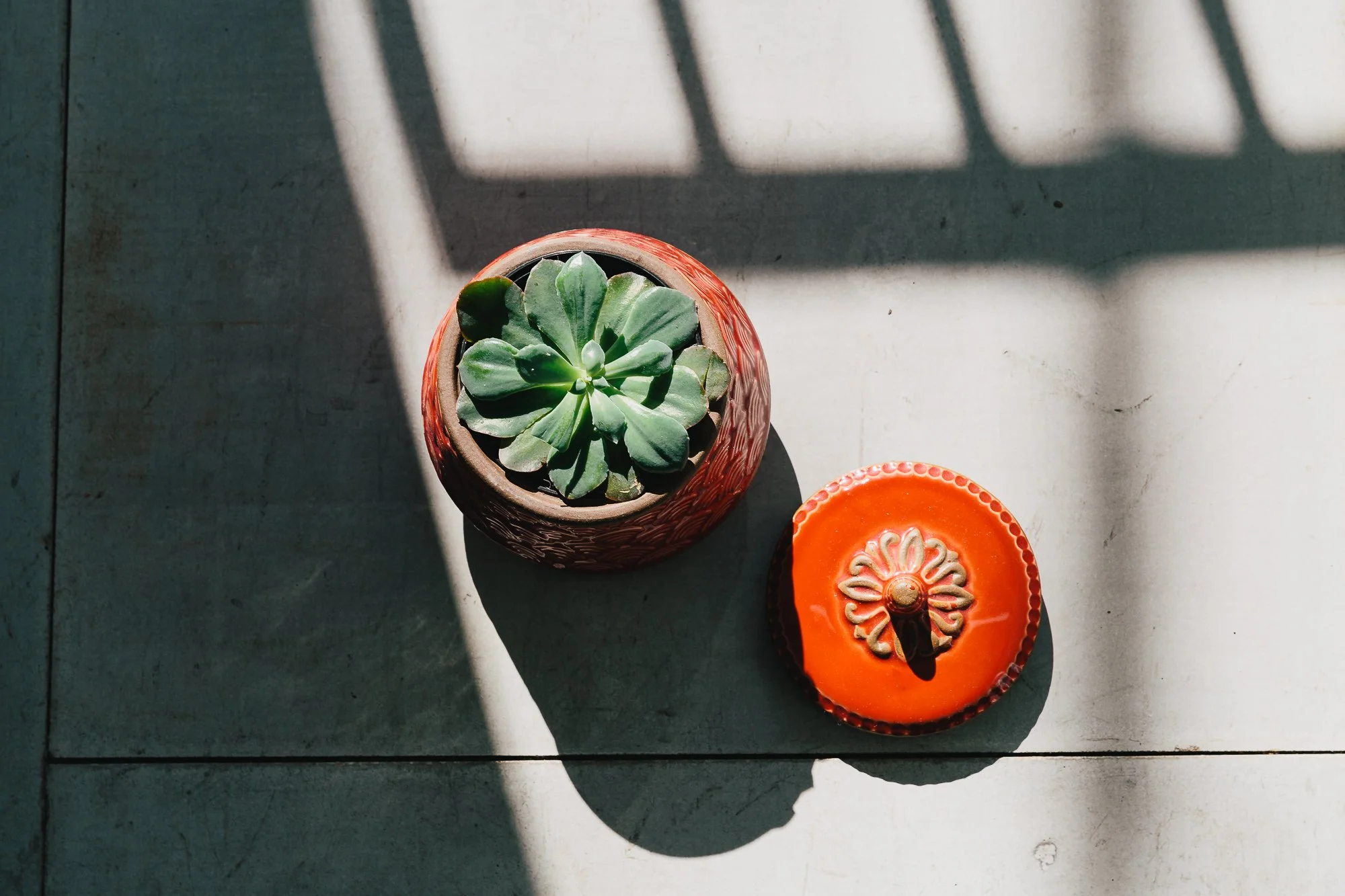A potted succulent plant and an orange candle holder with a decorative design on a tiled surface, with sunlight and shadows creating a pattern.