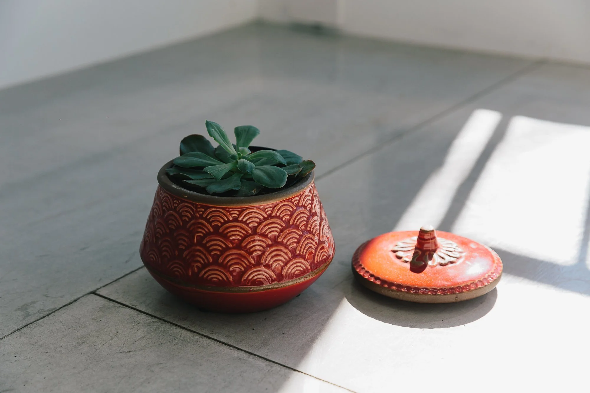 A green succulent plant in a red decorative pot with gold patterns, placed on a tiled floor. Next to it is a closed terracotta lid, with sunlight creating shadow patterns on the floor.