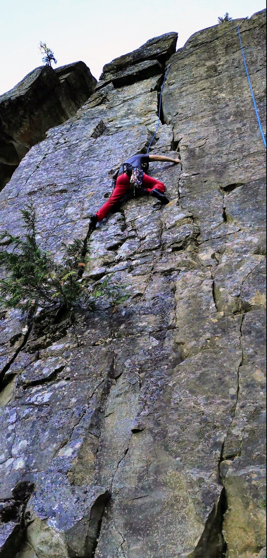 climbing.png