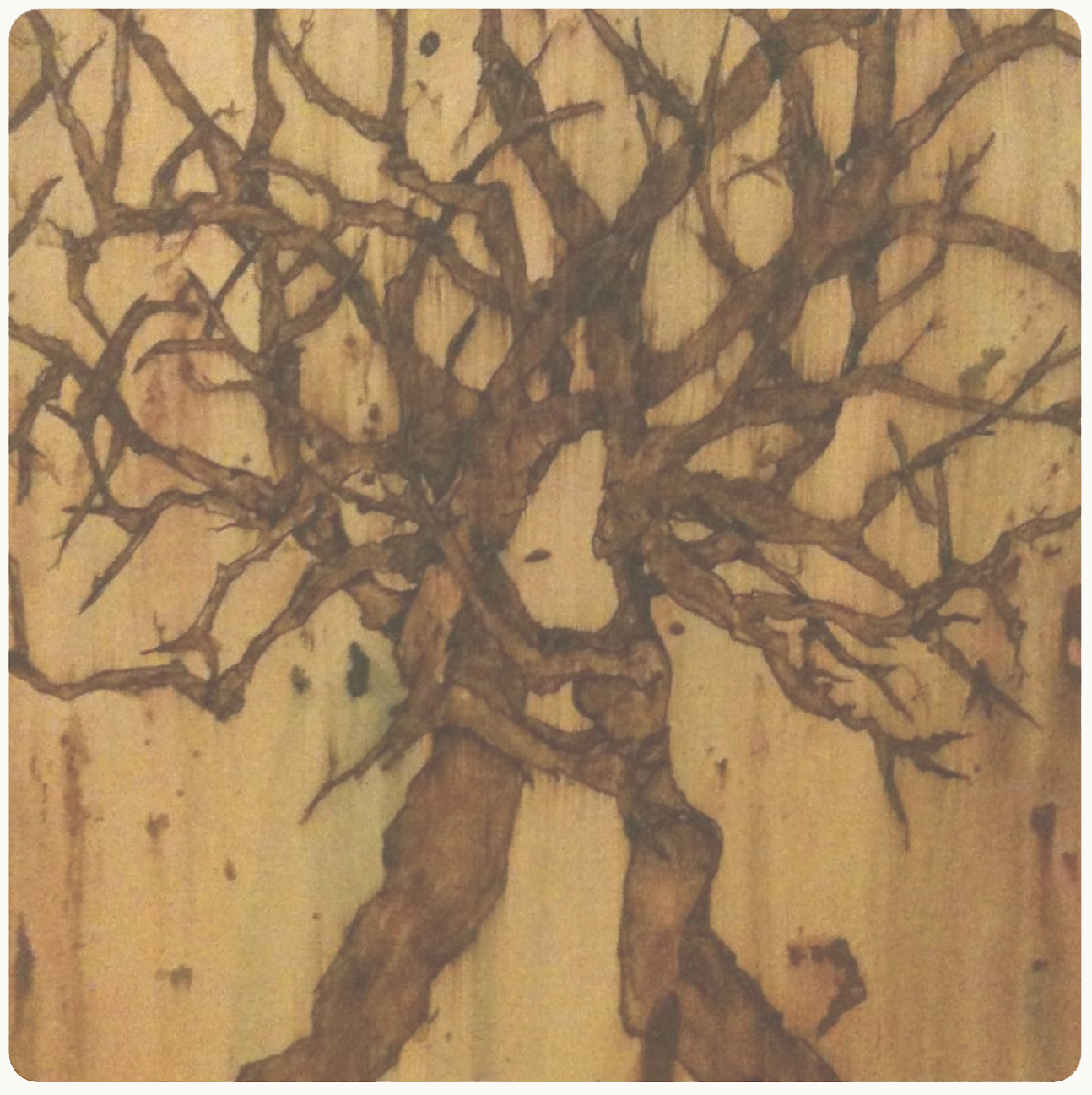 Natural Love Coaster