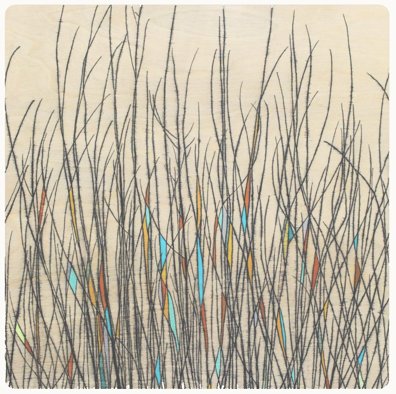 Kaleidoscope Coaster