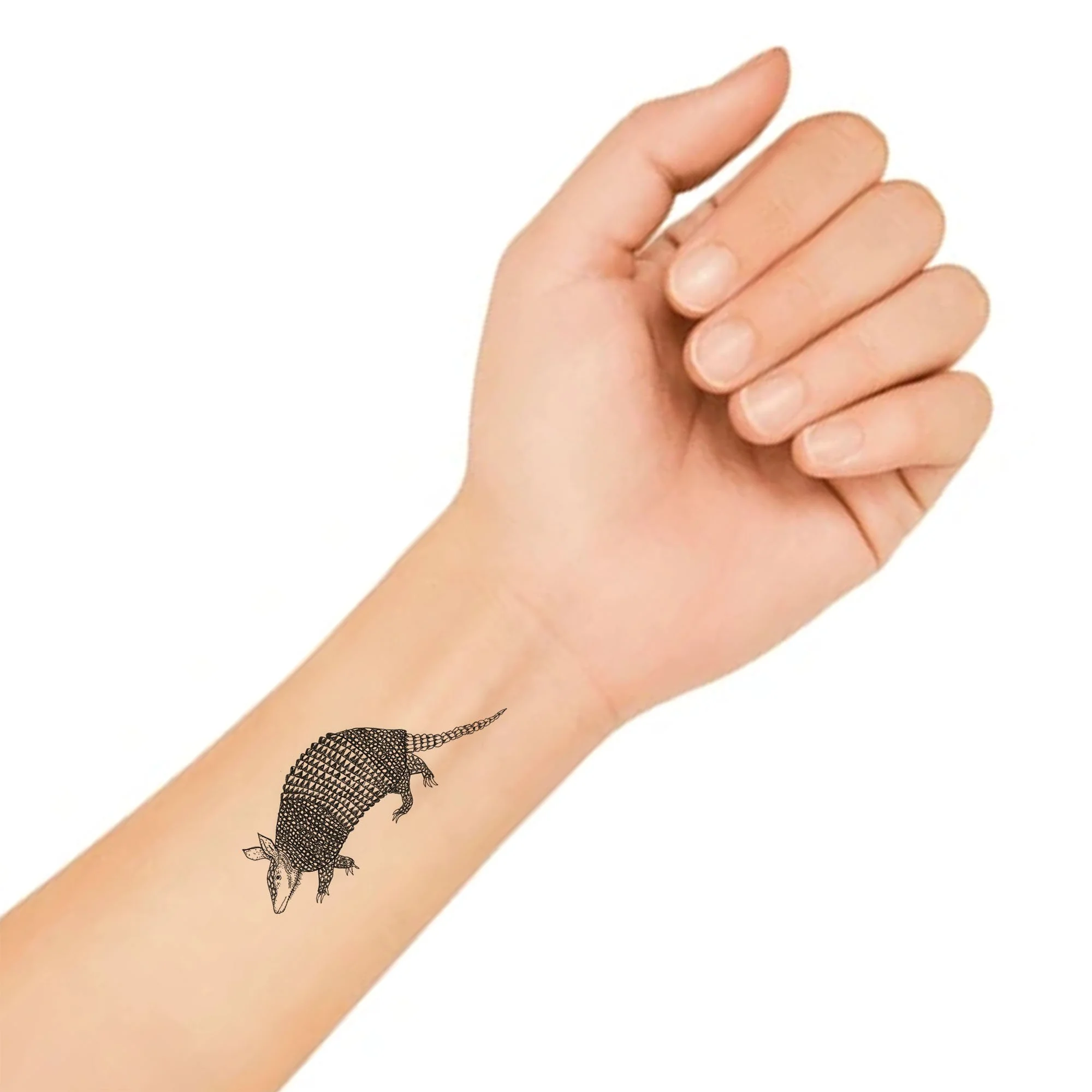 Armadillo Nat Tat