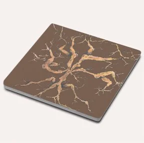 Bare Bark Coaster