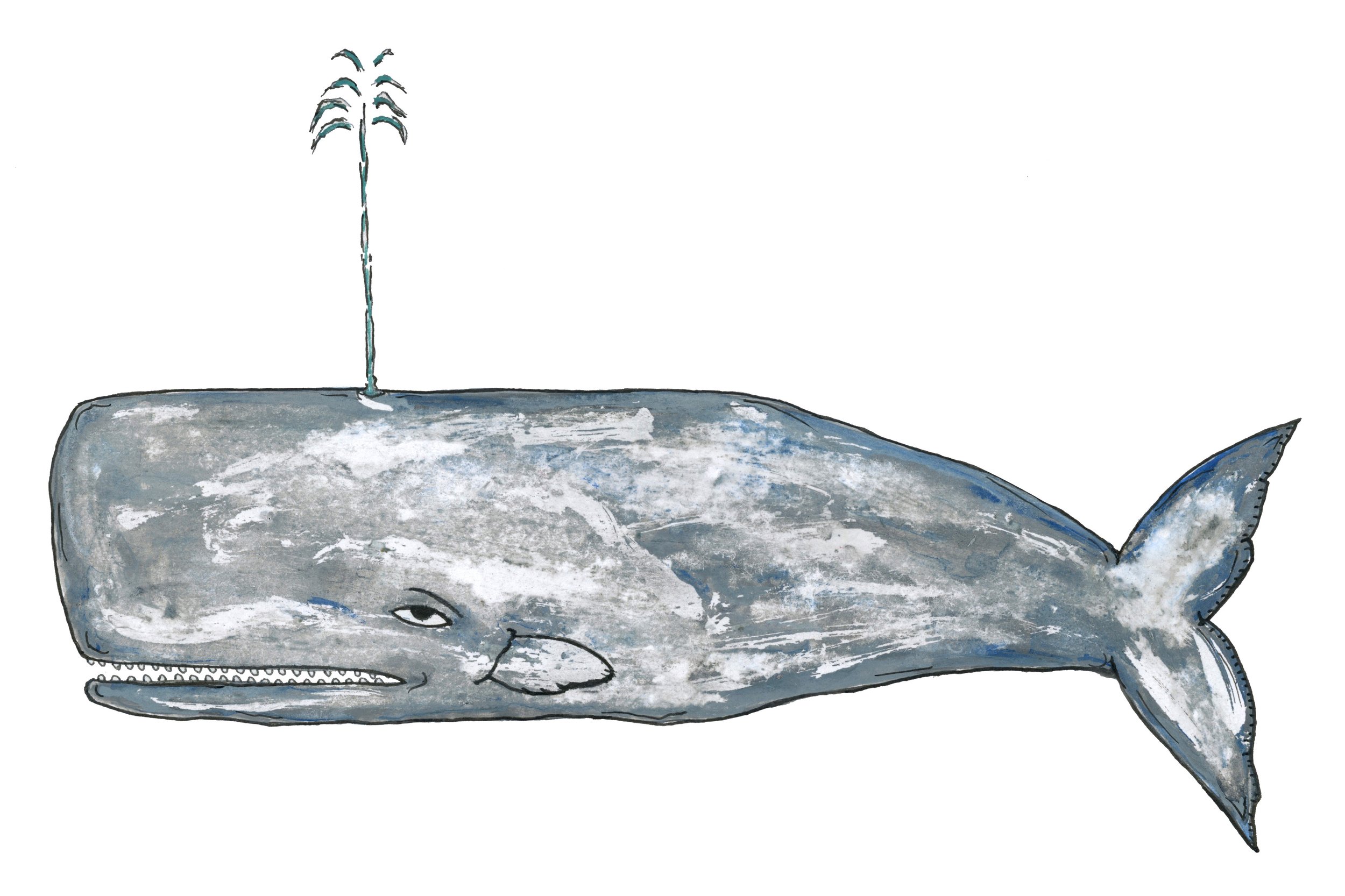 whale.jpg