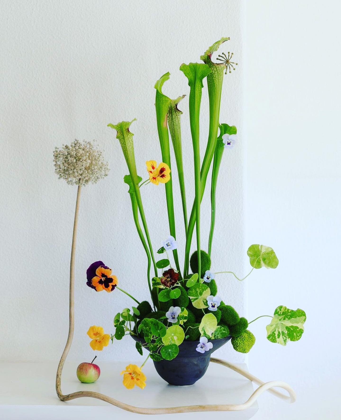 Wacky Wednesday @hattiemolloy 

.
.
.
.
.
#interiors #design #interiordesign #decor #archilover #architects #interiorarchitects #architecturelovers #decorinspo #floraldesign #flowersofinstagram #flowerpower