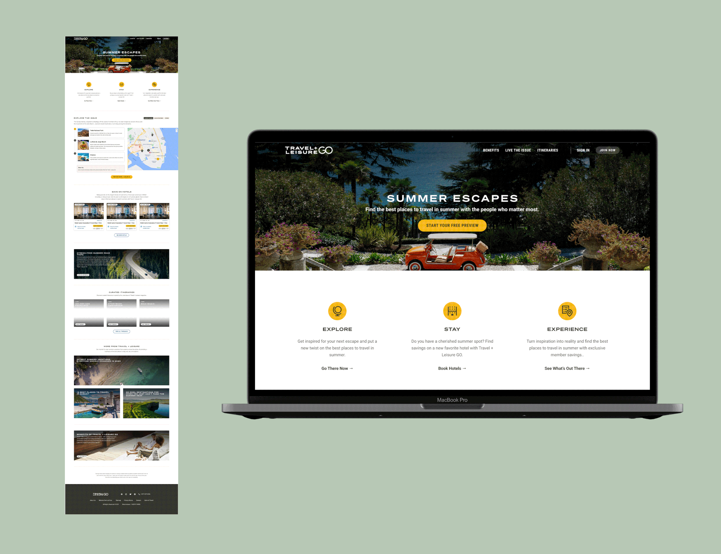 livetheissue-landingpages.gif
