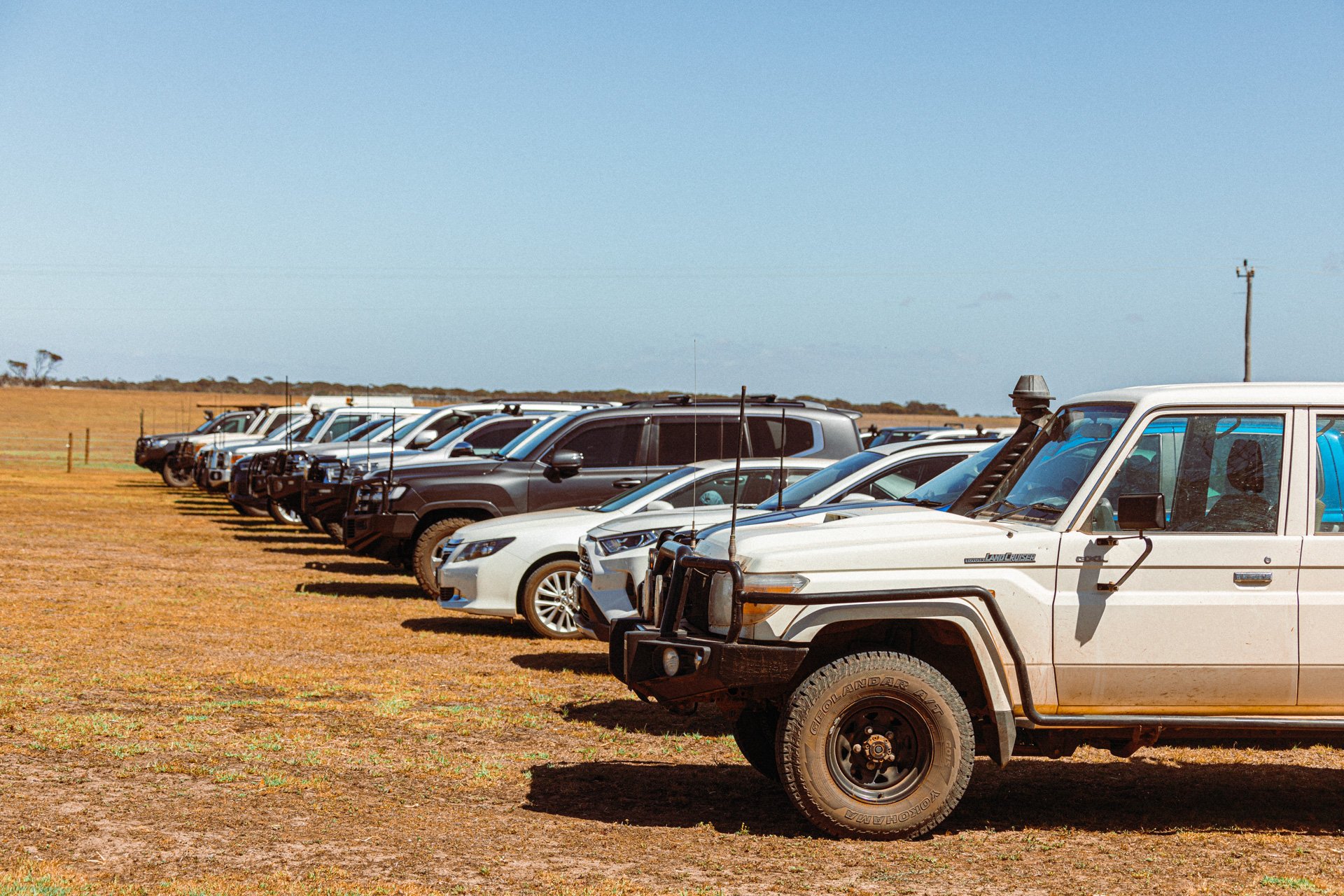 Car Lineup