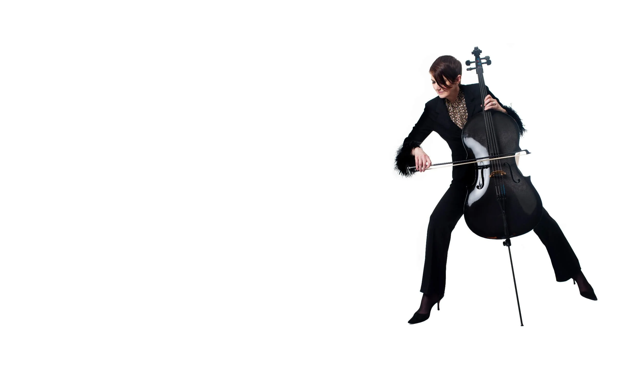 Online Nervous System Coach & Cellist Virtual Nervous System