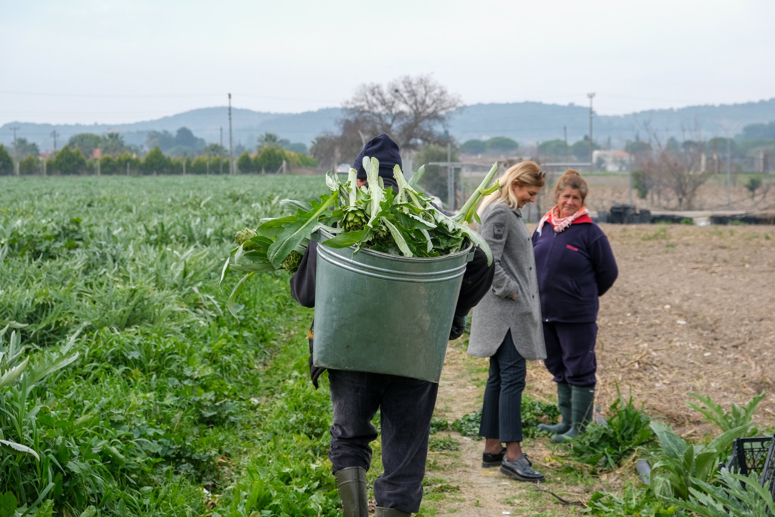 Waste source_1 (artichoke).jpg