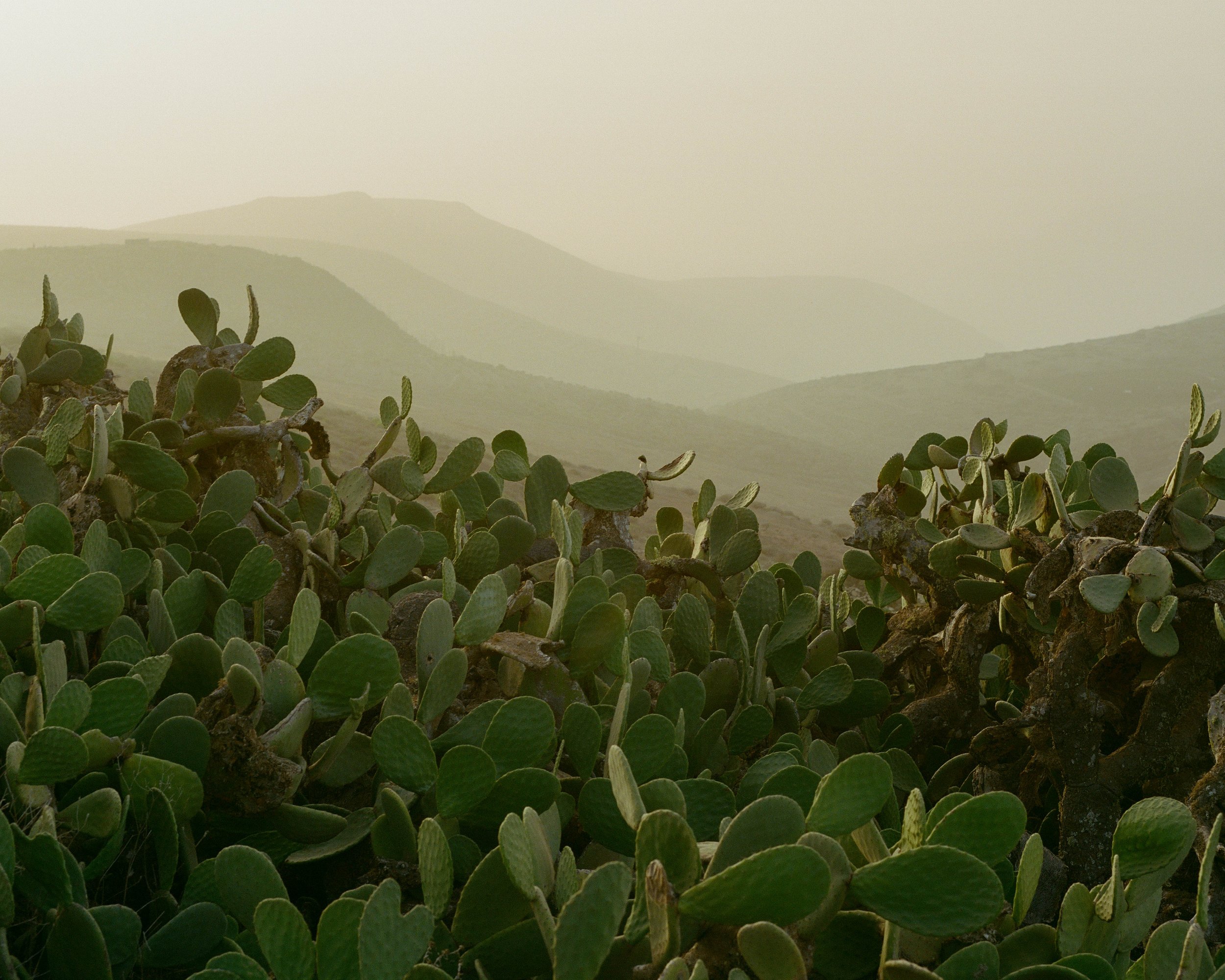 Lanzarote for Looms - Lo Res-5.jpg
