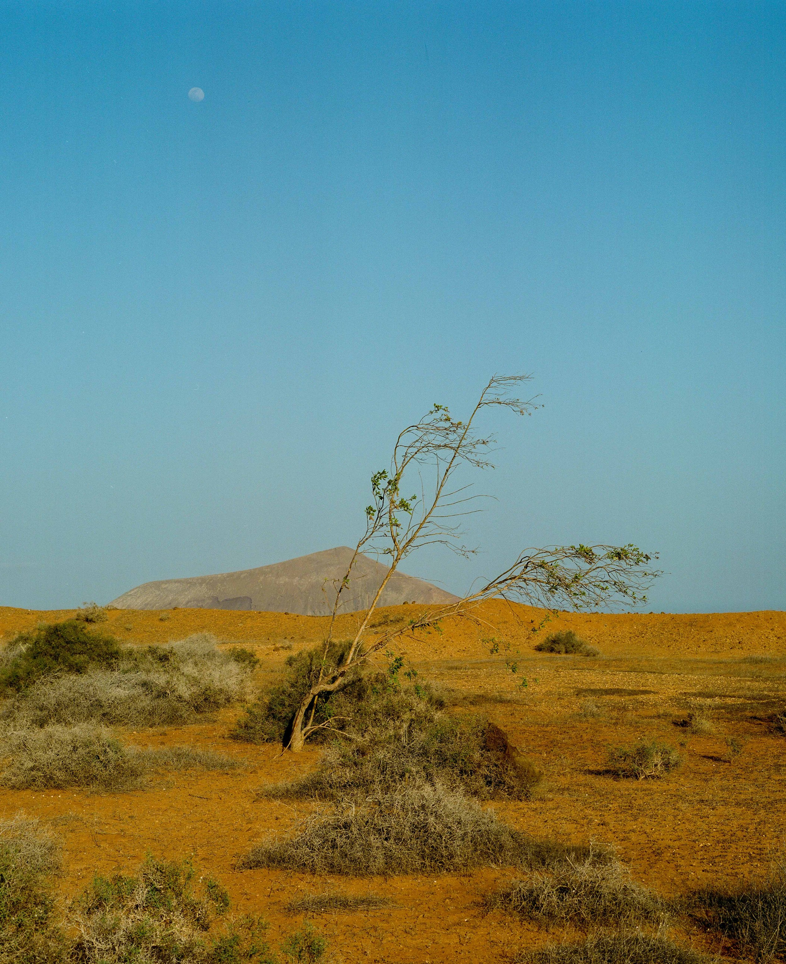 Lanzarote for Looms - Lo Res-10.jpg