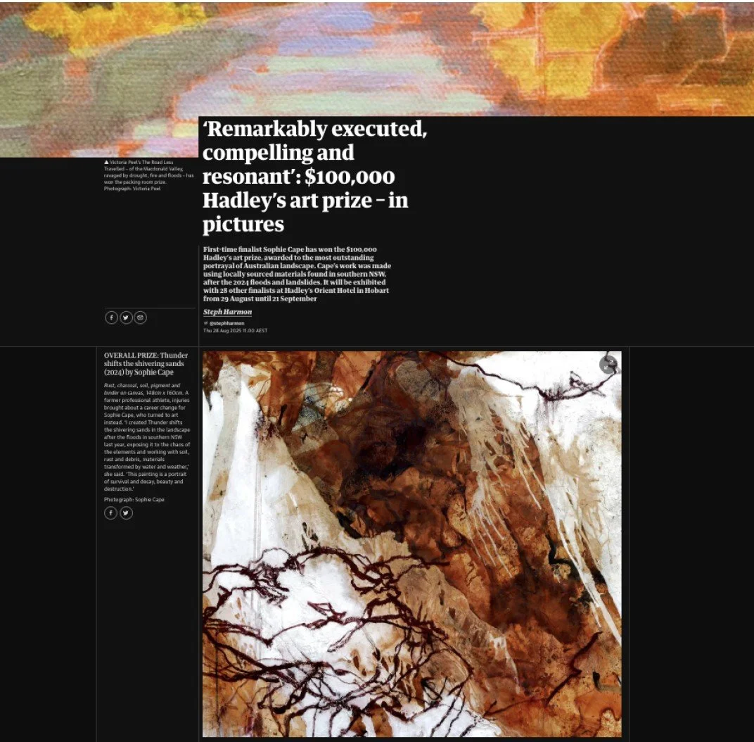 The Guardian image gallery.jpg