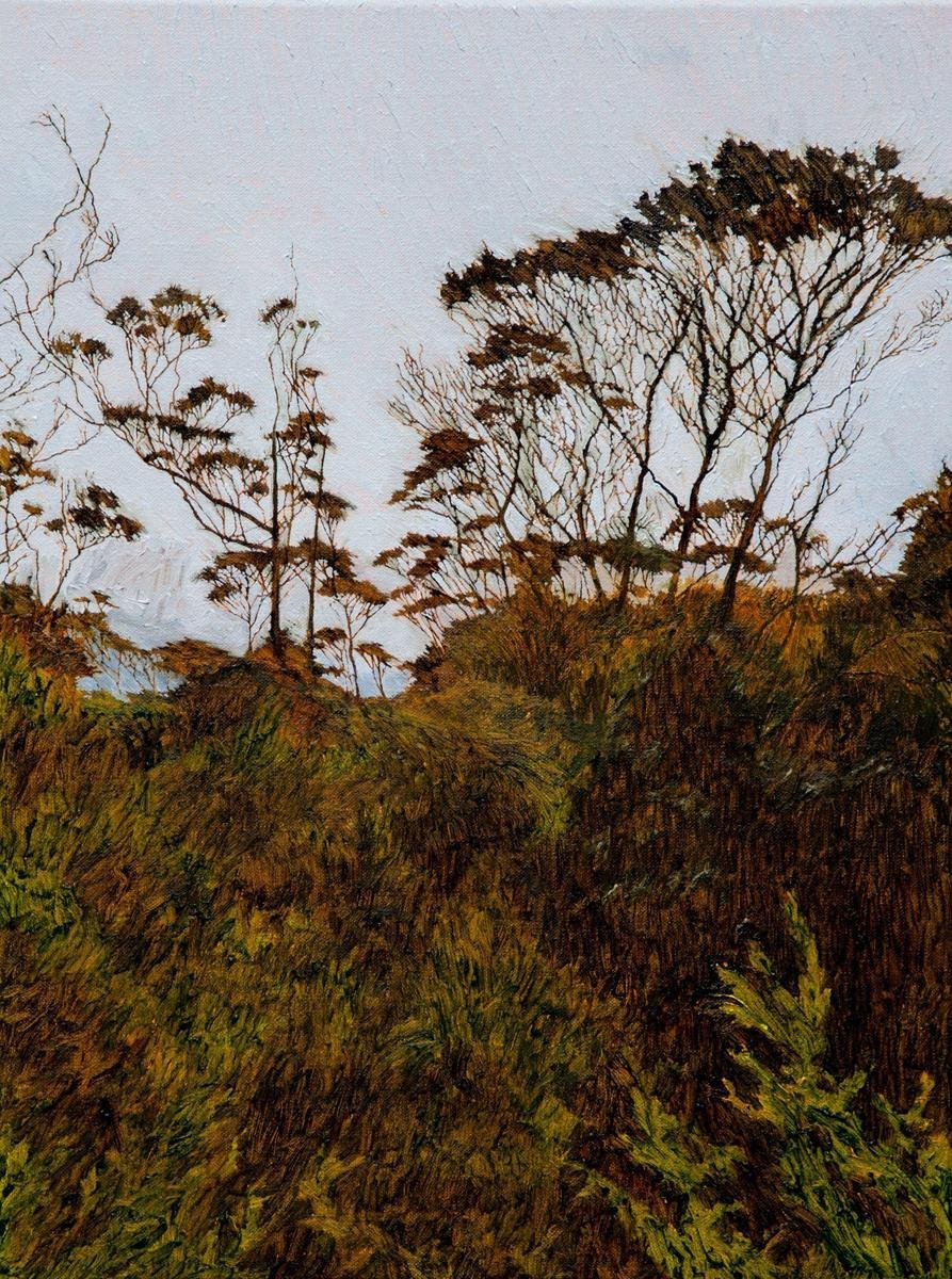 Linda Greedy, Misty Morning, Overland Track, oil on linen, 45 × 34 cm