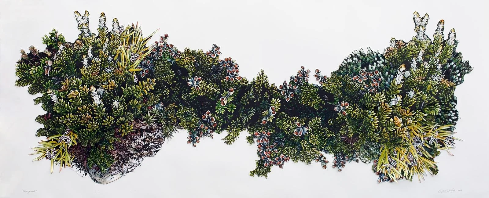 Grace Gladdish, Entanglement, watercolour and collaged linoprints on paper, 73 × 152 cm