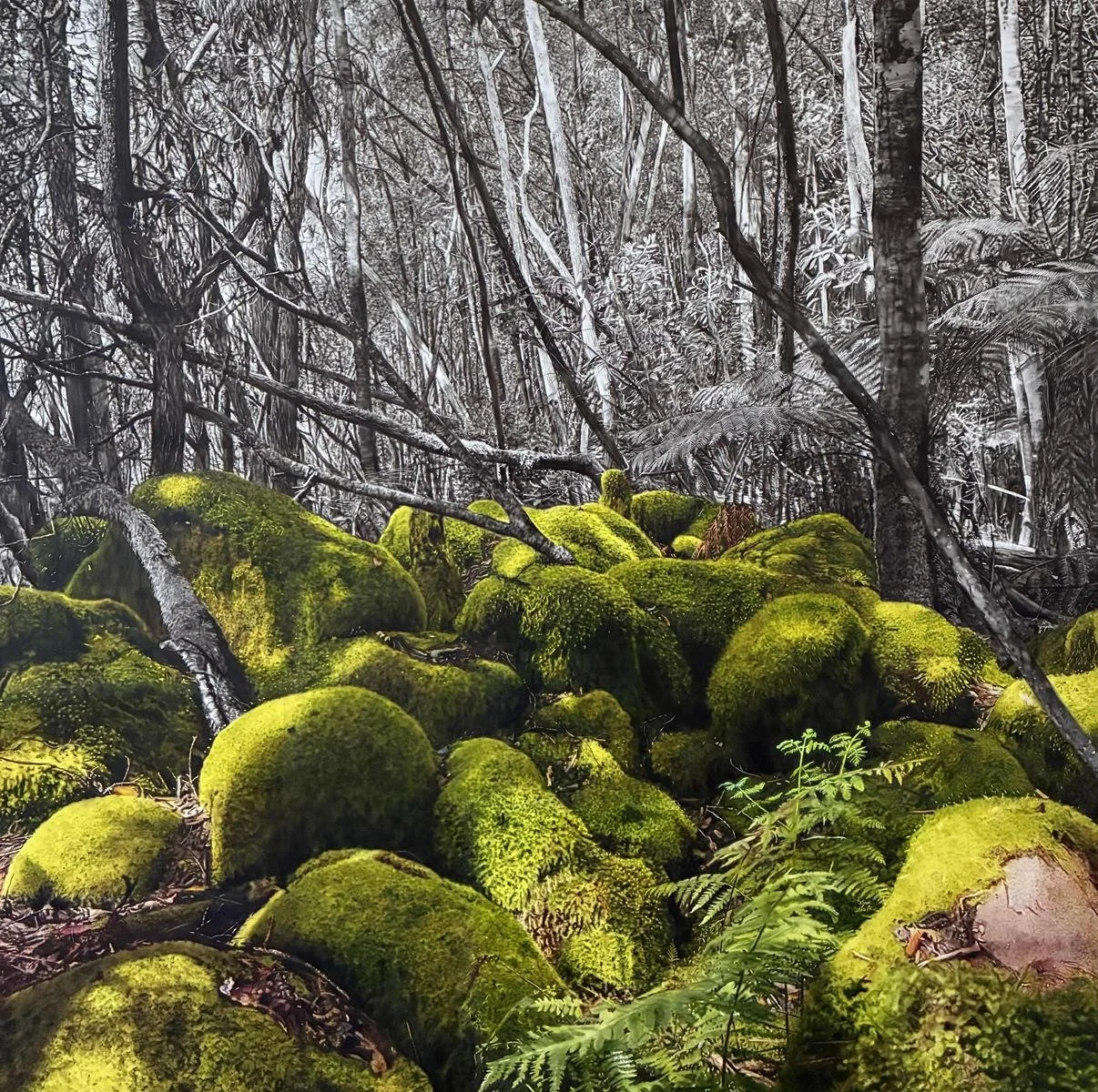 Todd Simpson, Where Light Settles, airbrushed acrylic on aluminium, 105 × 105 cm 