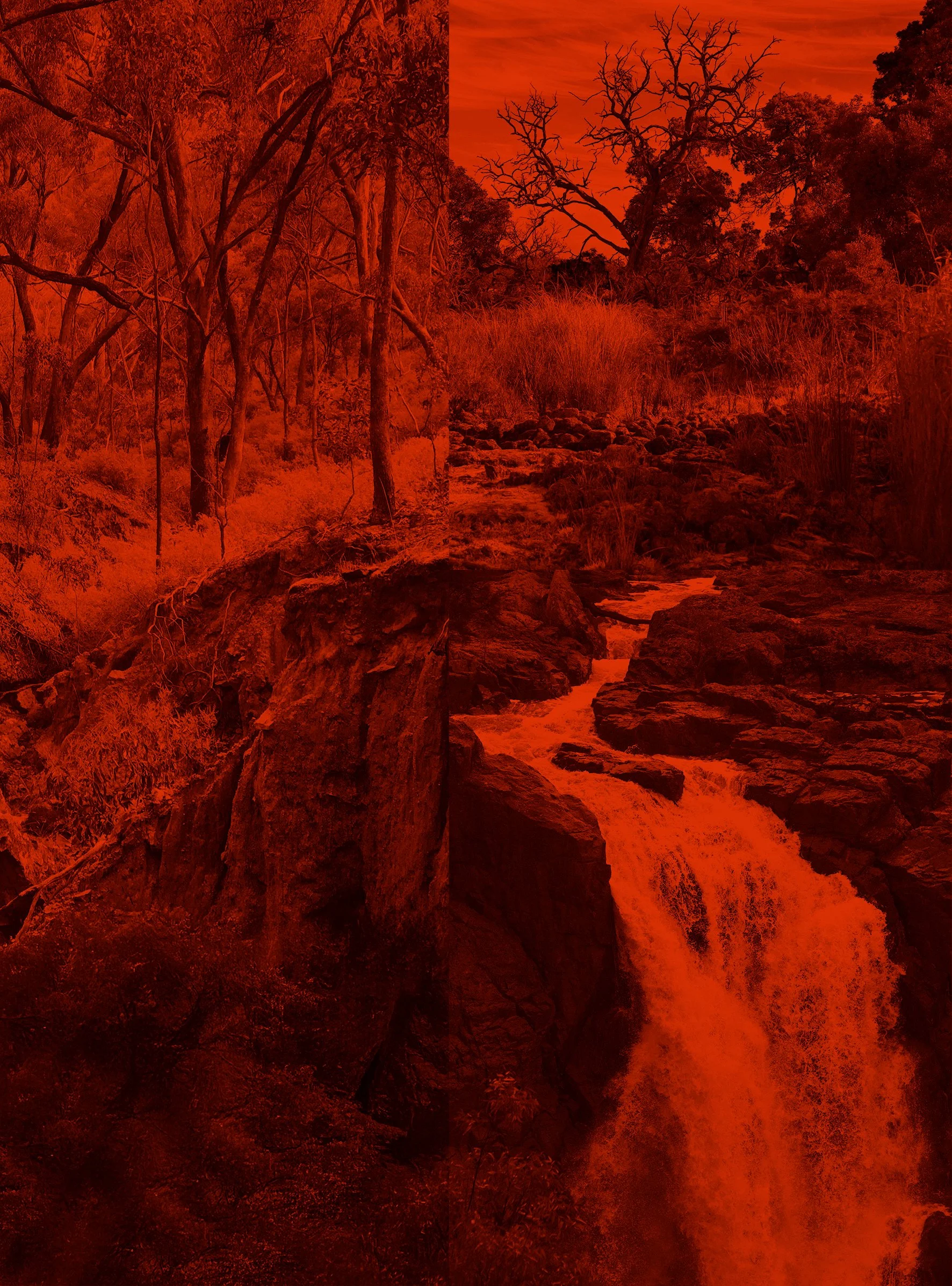 She was like the lizard that fell into the water and became a crocodile 1, archival inkjet print, 20.5 x 15 cm. 