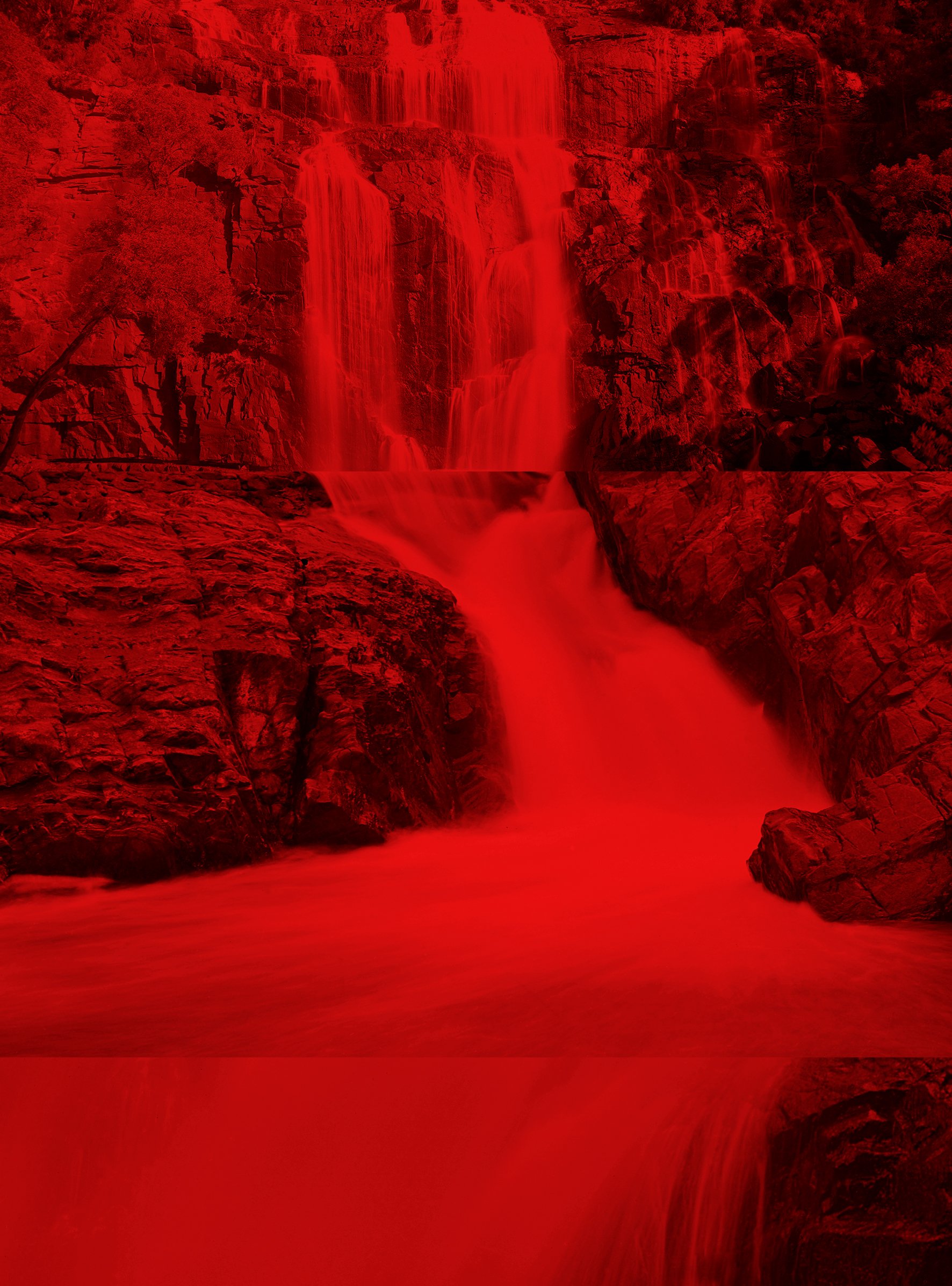 She was like the lizard that fell into the water and became a crocodile 8, archival inkjet print, 20.5 x 15 cm. 