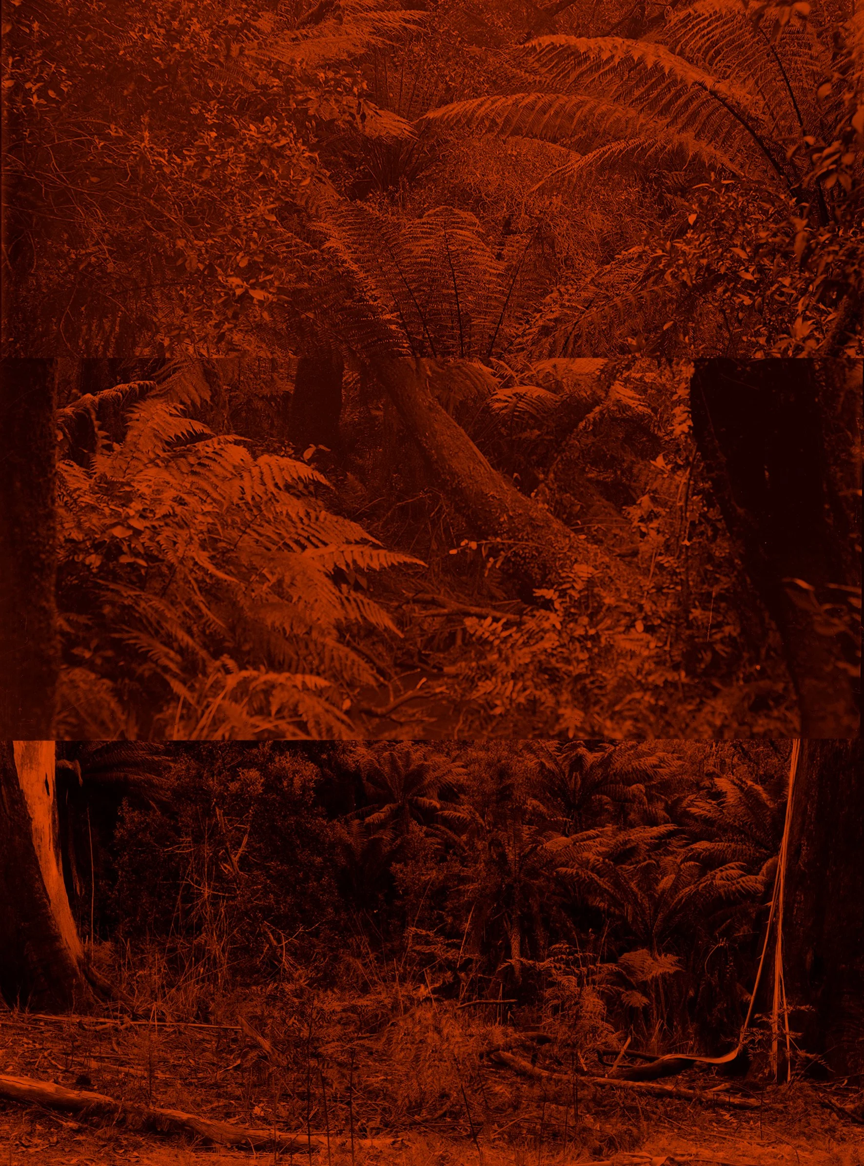 She was like the lizard that fell into the water and became a crocodile 7, archival inkjet print, 20.5 x 15 cm. 