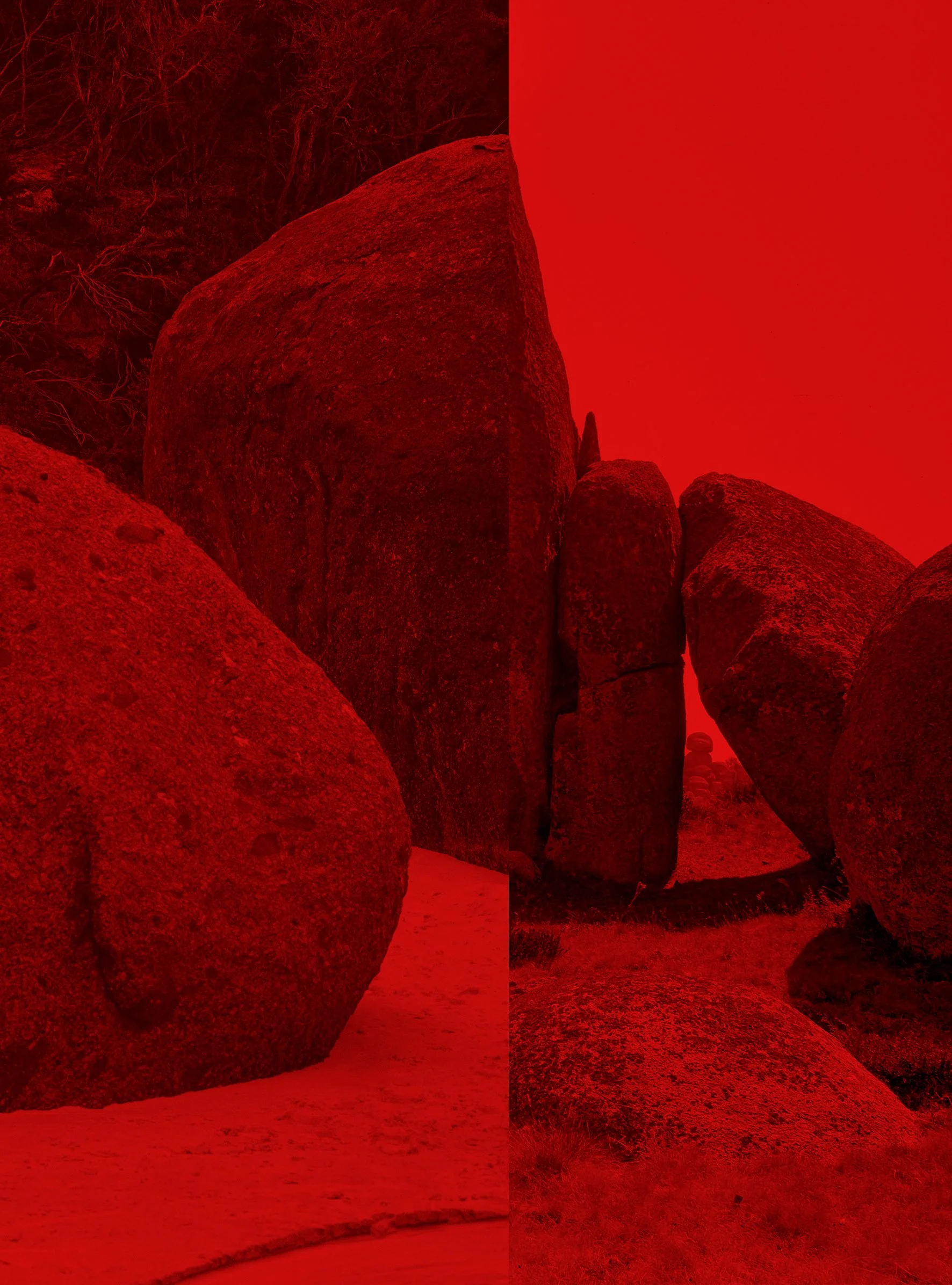 She was like the lizard that fell into the water and became a crocodile 2, archival inkjet print, 20.5 x 15 cm. 