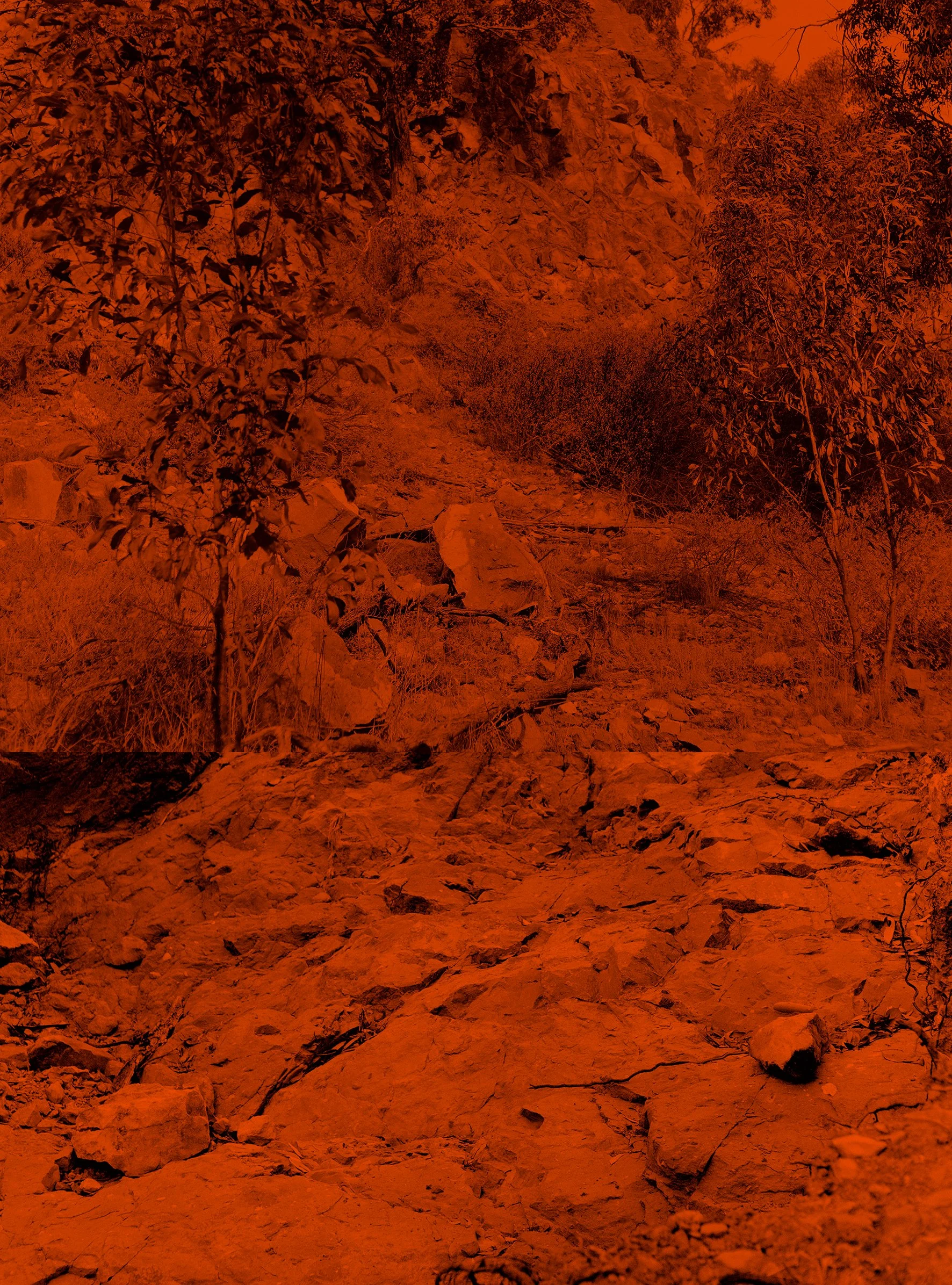 She was like the lizard that fell into the water and became a crocodile 5, archival inkjet print, 20.5 x 15 cm. 