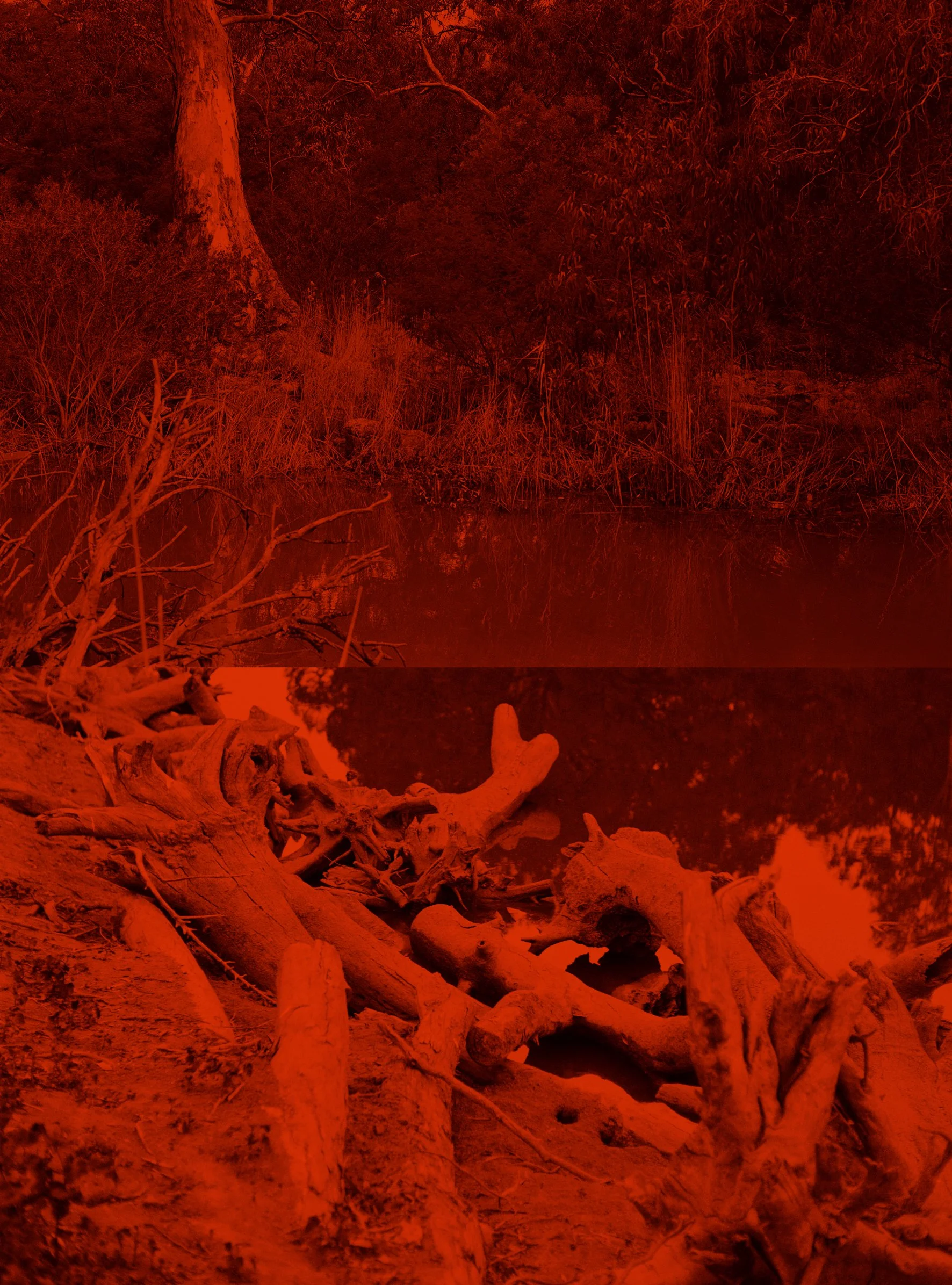 She was like the lizard that fell into the water and became a crocodile 9, archival inkjet print, 20.5 x 15 cm. 