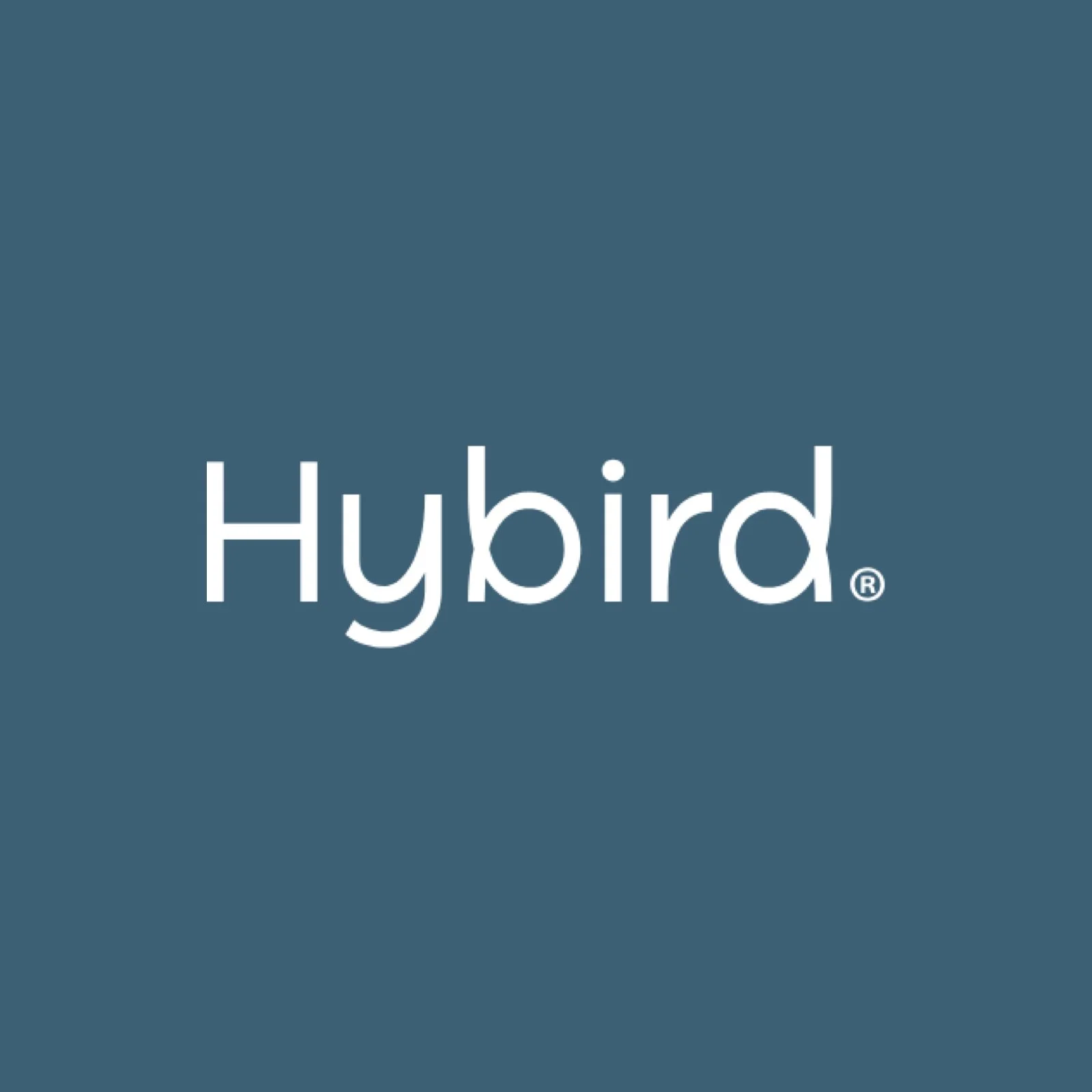 hybrid web logo (1).jpg