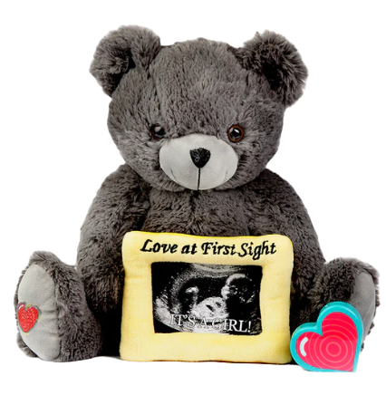 Grey Bear with Frame.png