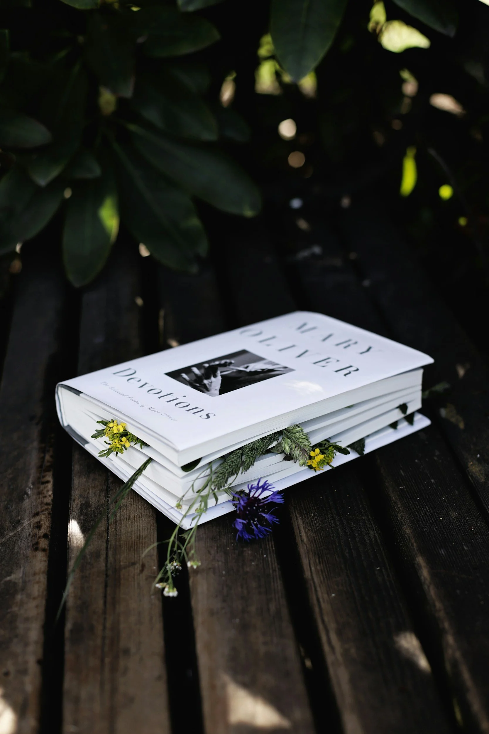 Book titled 'Sisters of the Revolution' lying on wooden surface with small yellow, white, purple, and green flowers and greenery around it.