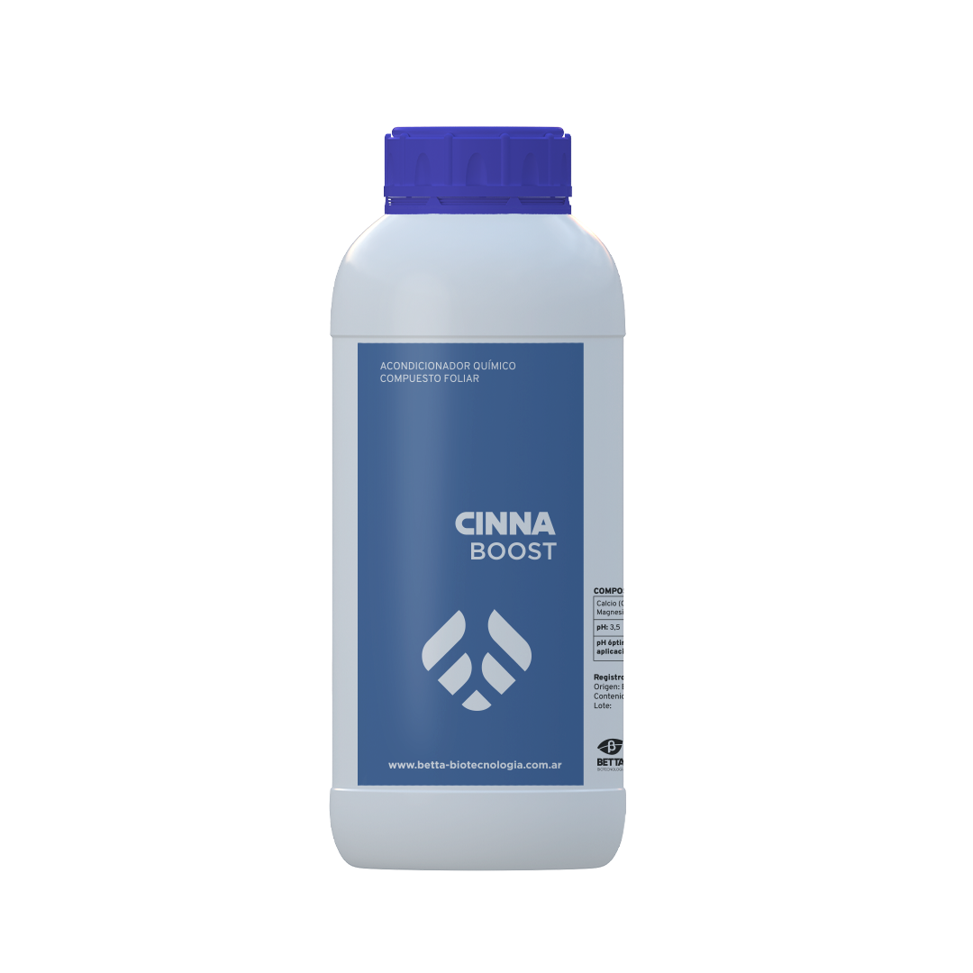 CINNA BOOST