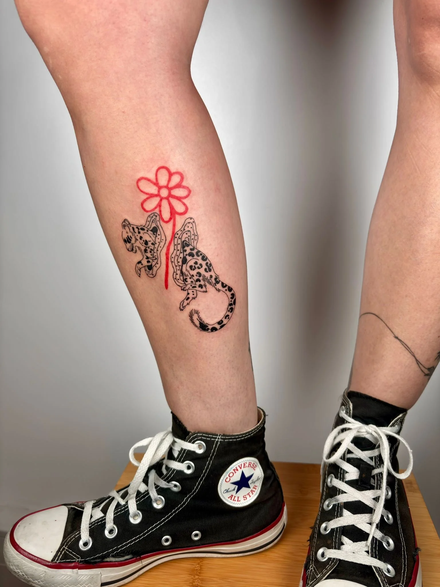 PHOTO-2026-02-13-17-41-43 4.jpg