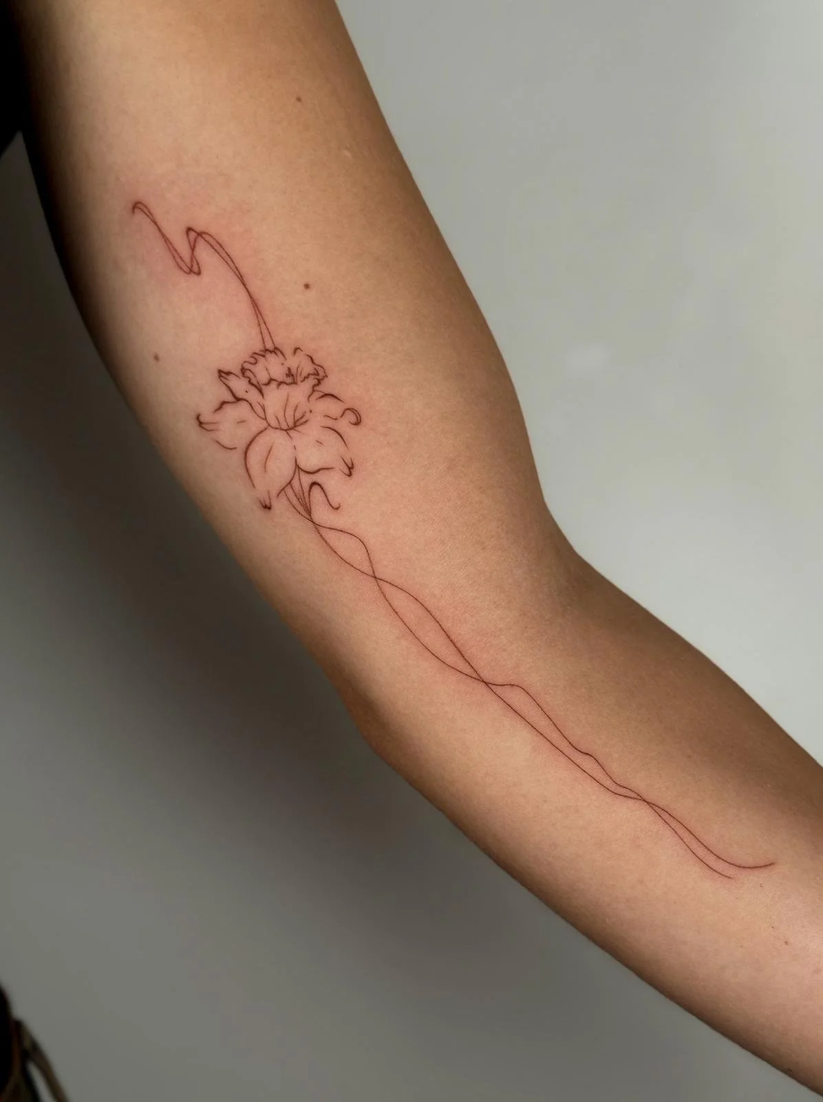 PHOTO-2026-02-14-10-00-08 3.jpg