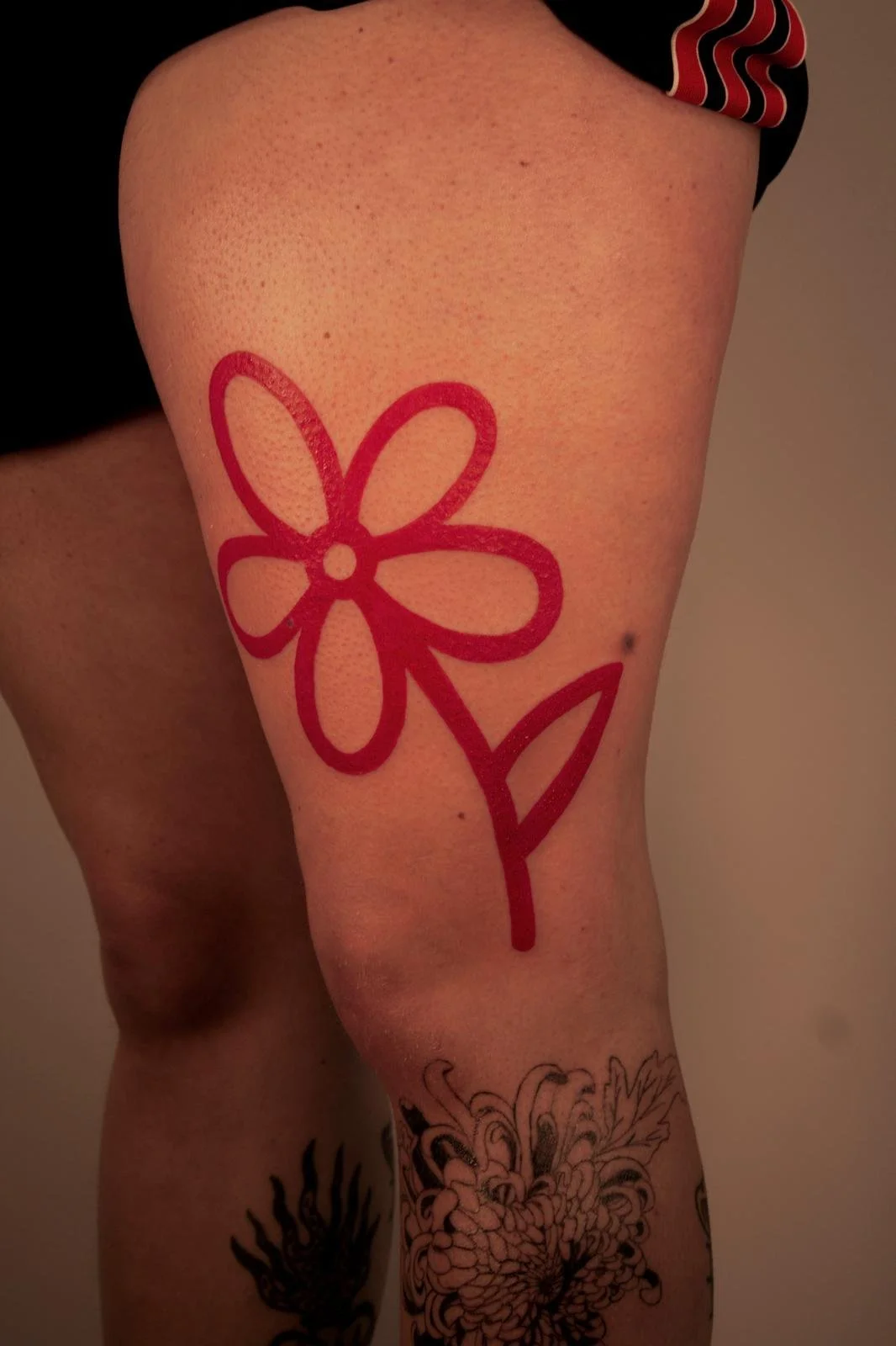 PHOTO-2026-02-13-17-25-50 2.jpg